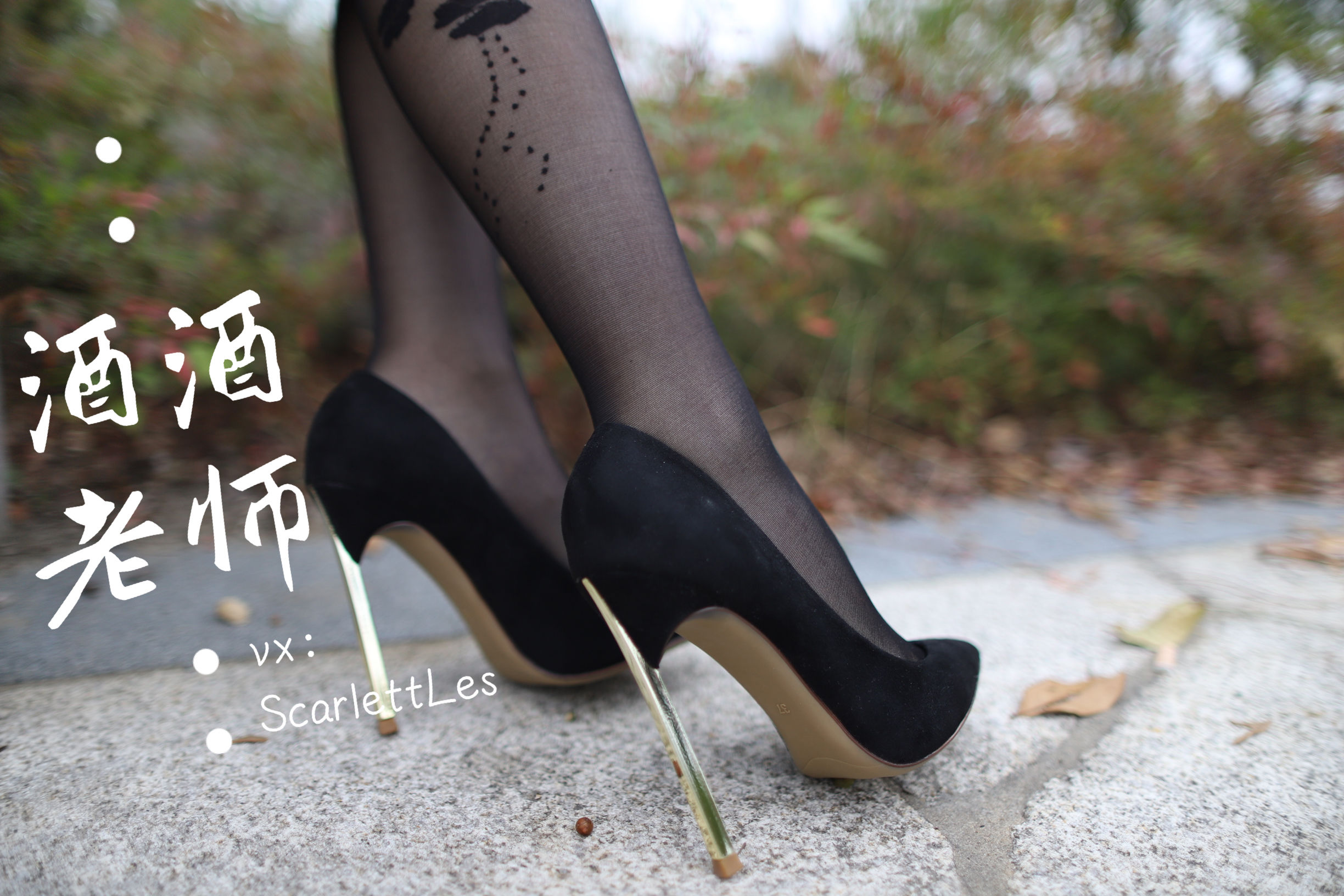 酒酒老师 – 上课前误穿黒丝 [53P]