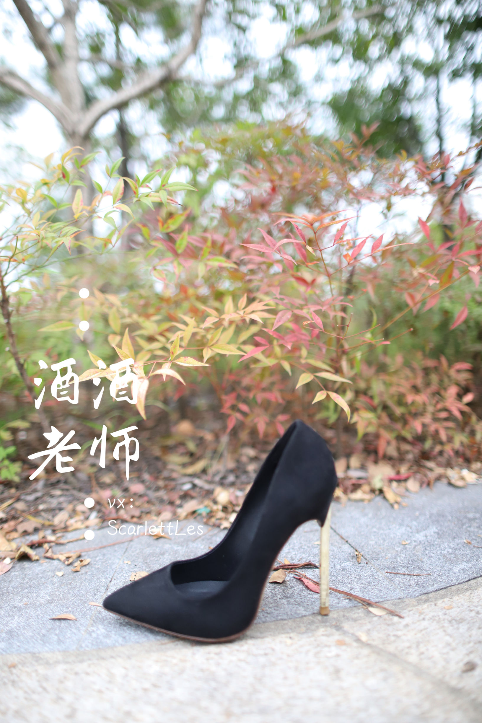 酒酒老师 – 上课前误穿黒丝 [53P]