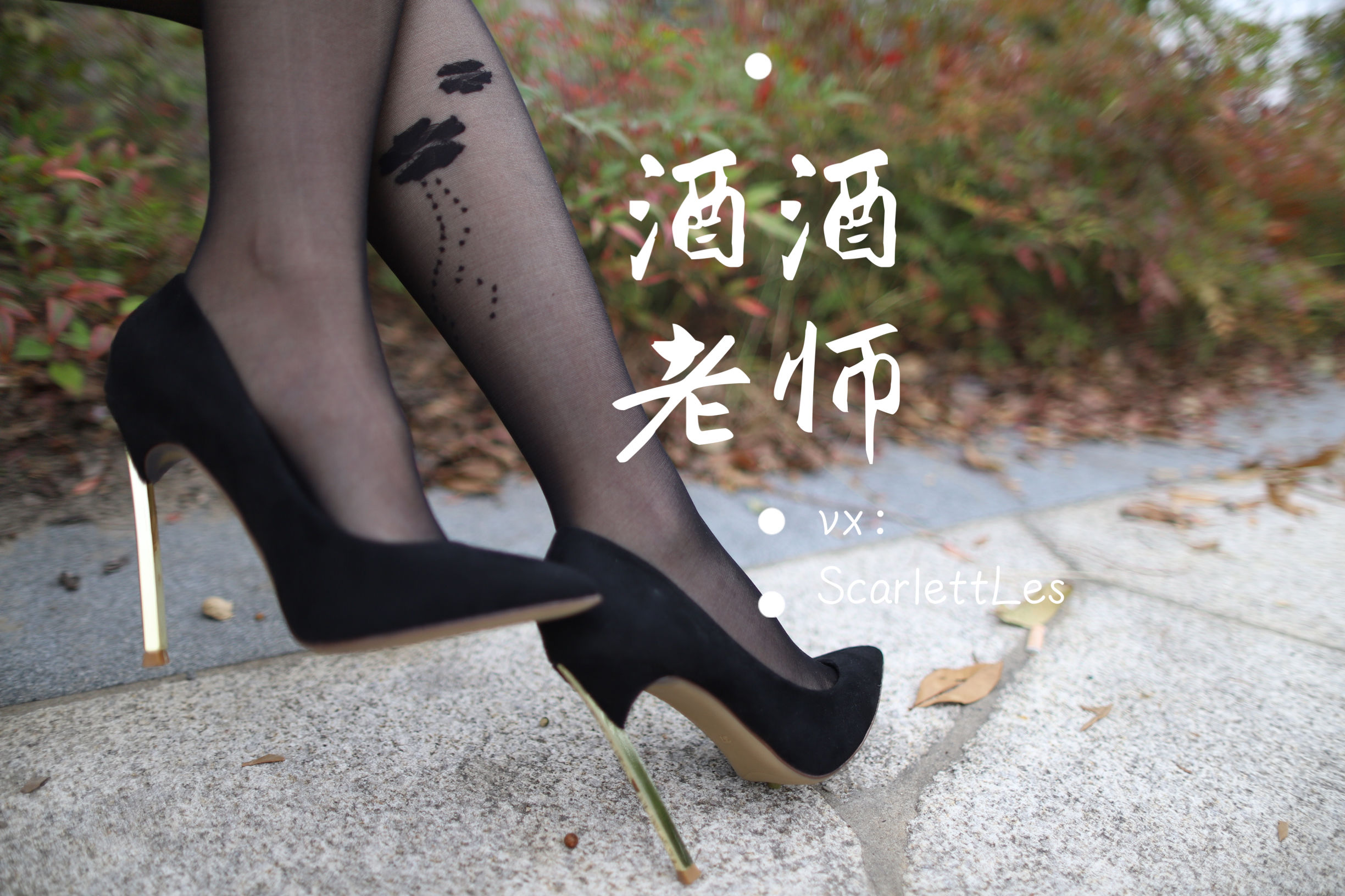 酒酒老师 – 上课前误穿黒丝 [53P]