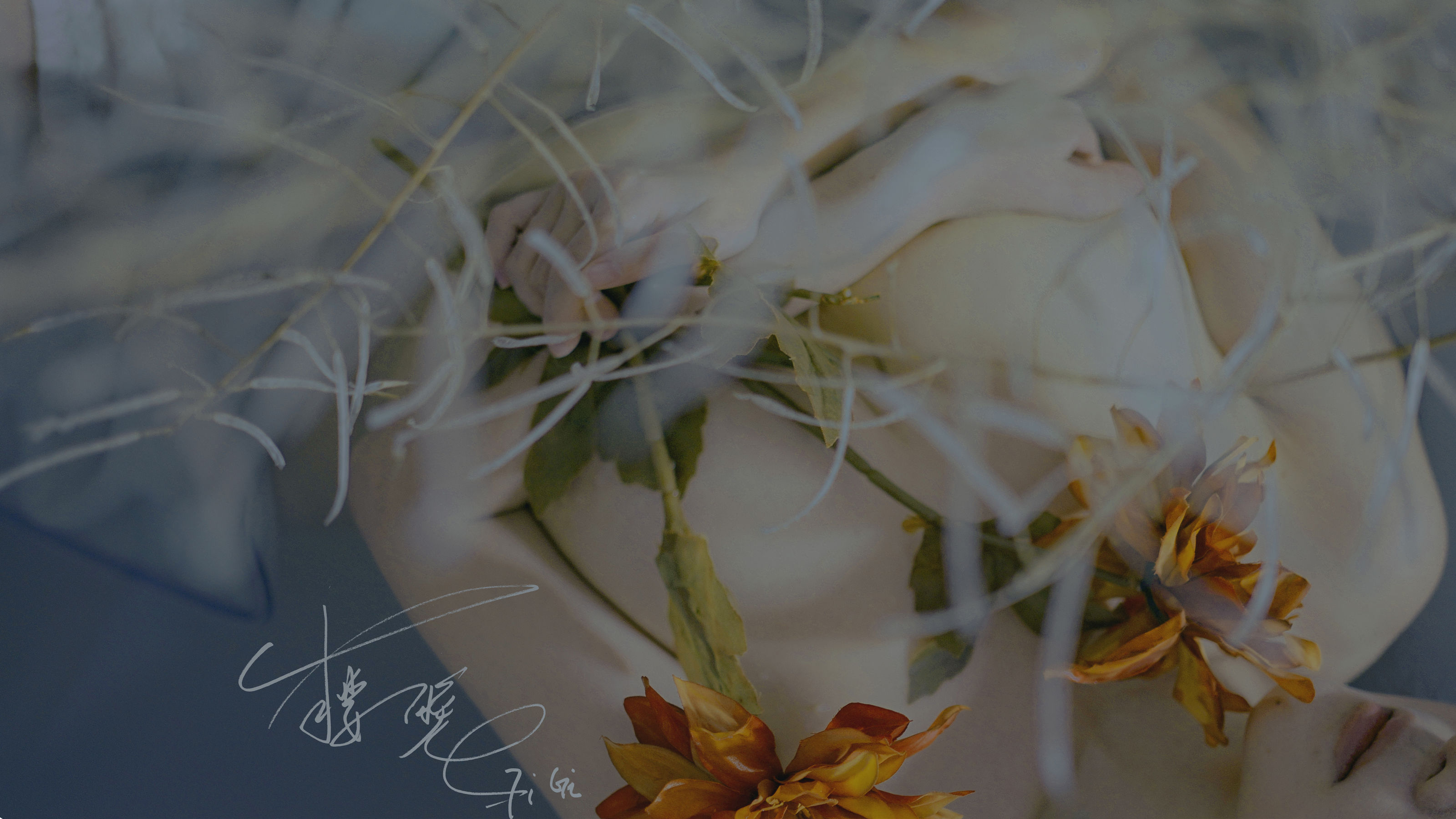 网络红人樱晚gigi – 清衣.池 [25P]