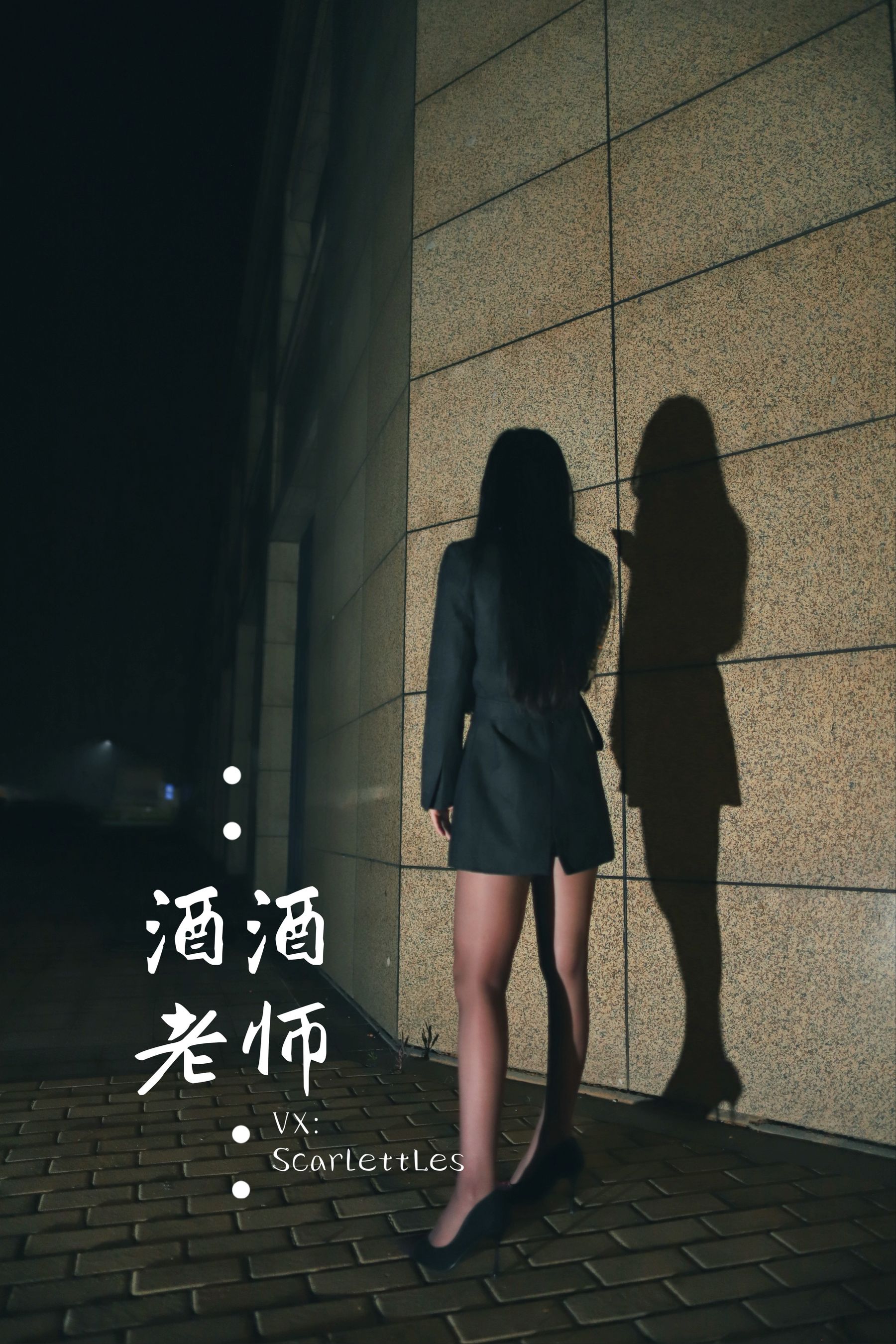 酒酒老师 – 司机先生，喜欢紫色丝吗？ [74P]