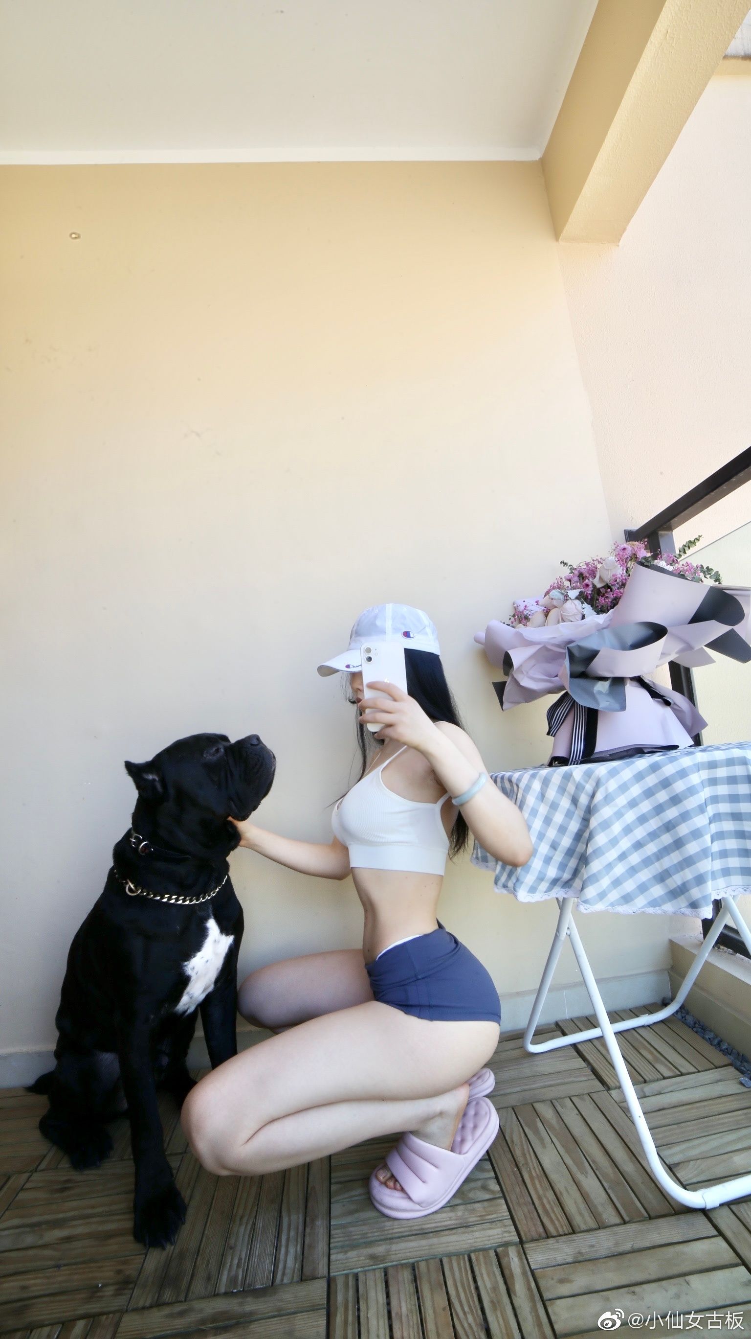 Cool文茜 微密圈视图合集 [186P]