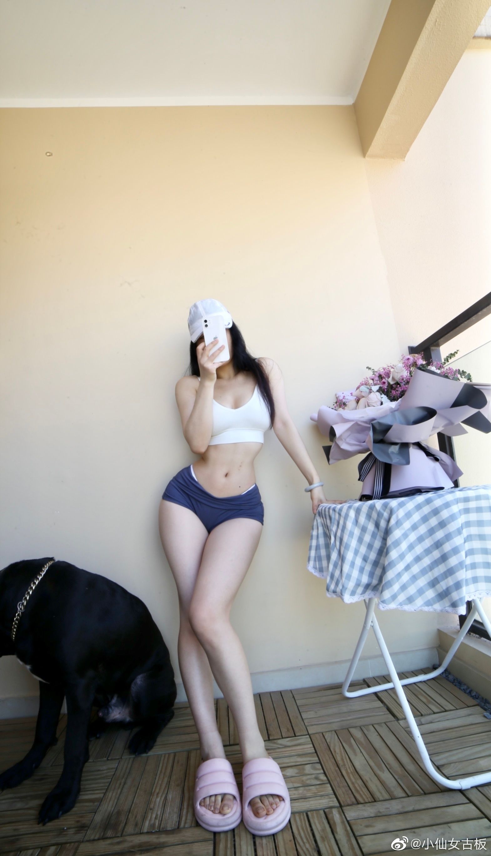 Cool文茜 微密圈视图合集 [186P]