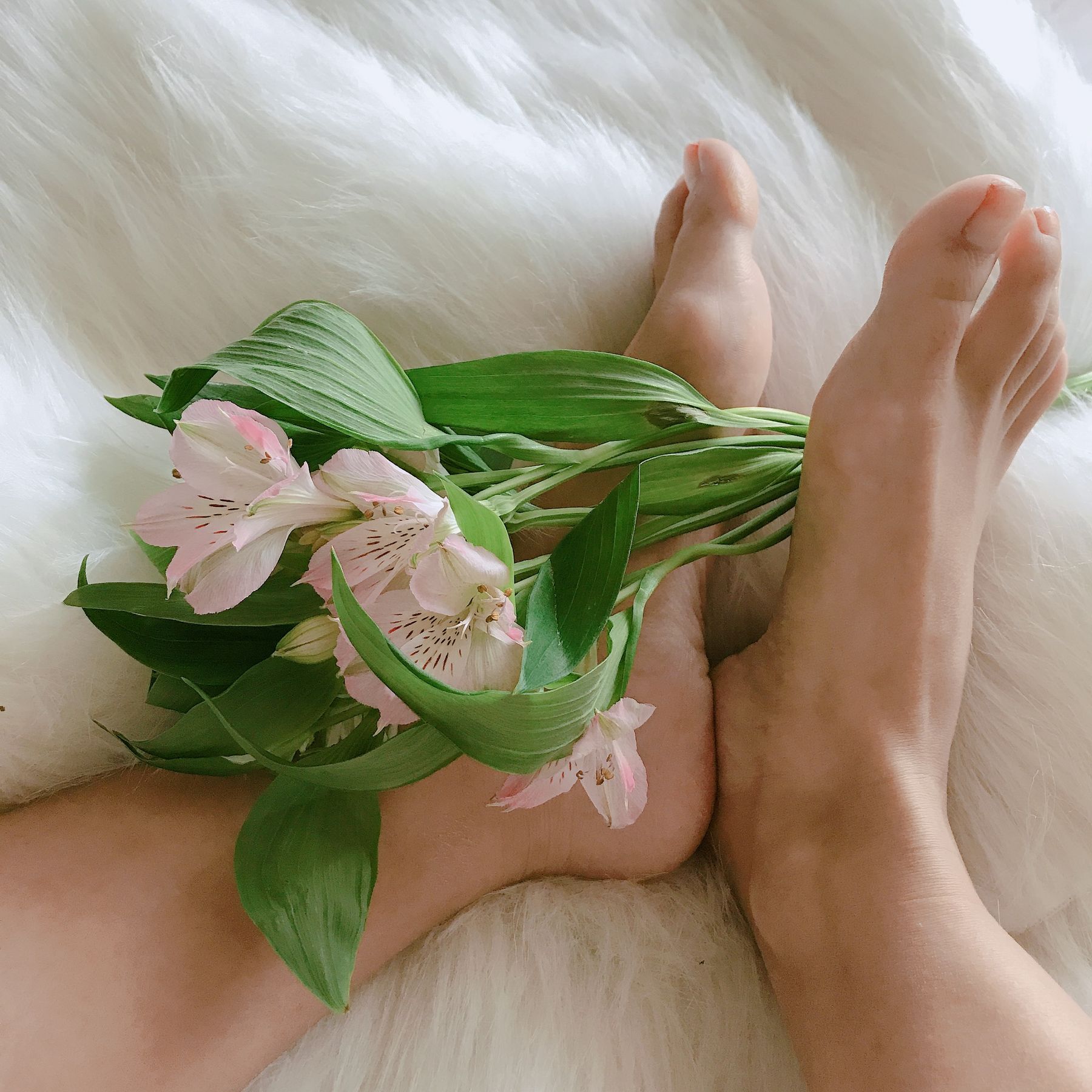 安乔乔儿(Nia乔乔) No.006 学姐来了 [124P]