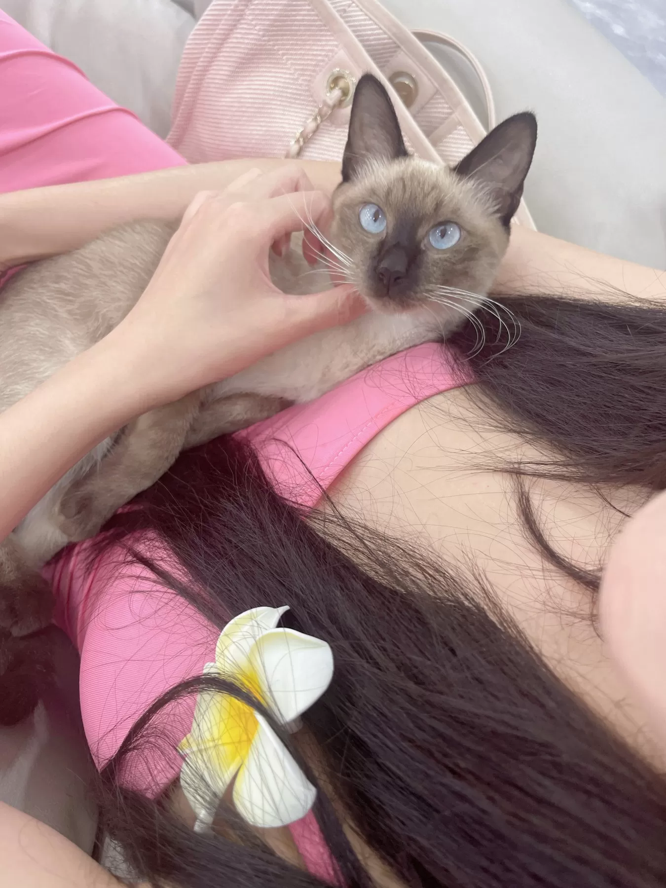 就是阿朱啊 – 逛超市+撸猫 [21P]