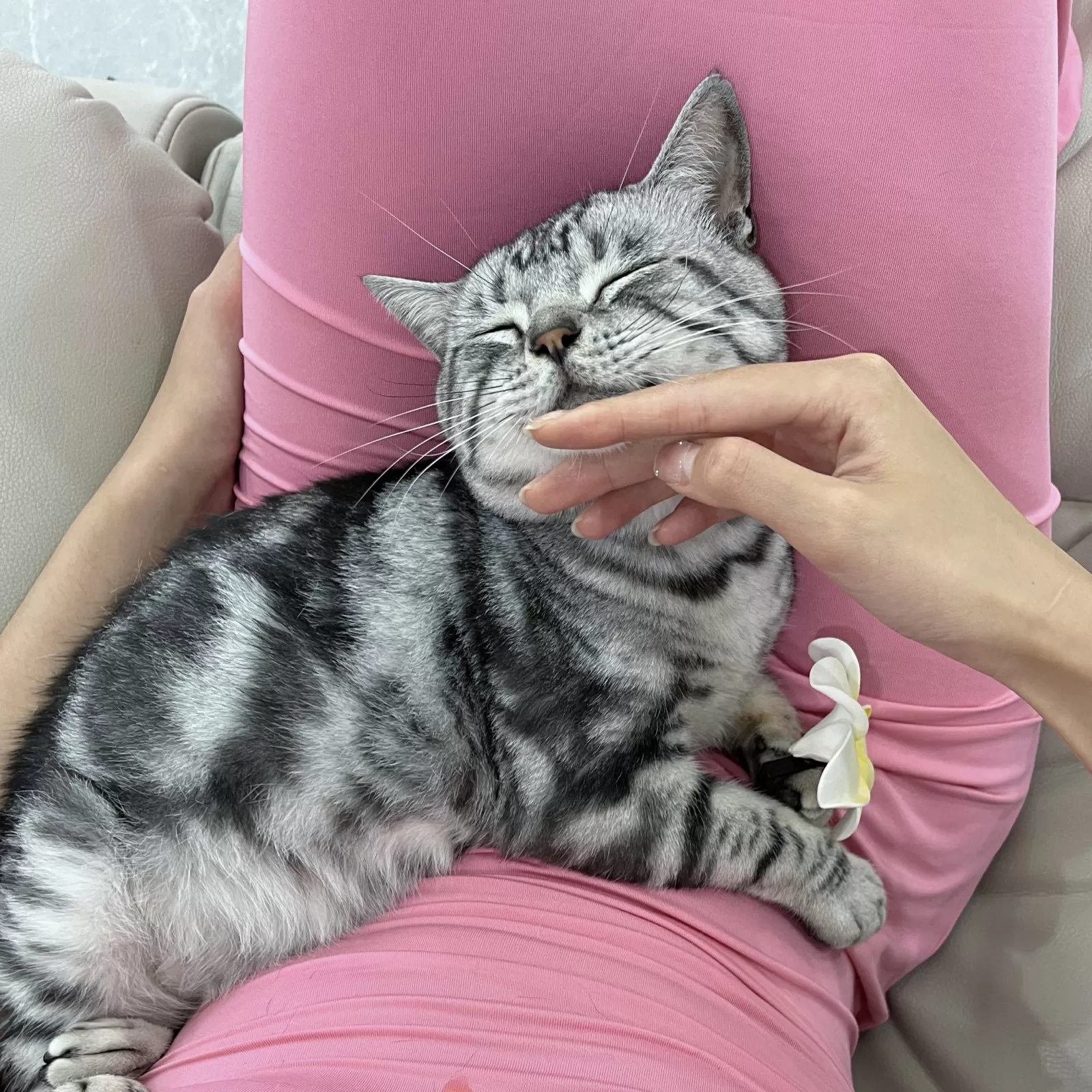 就是阿朱啊 – 逛超市+撸猫 [21P]