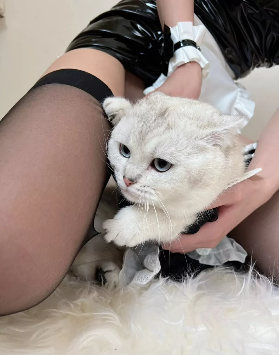 就是阿朱啊 – 黑丝女郎 [64P]