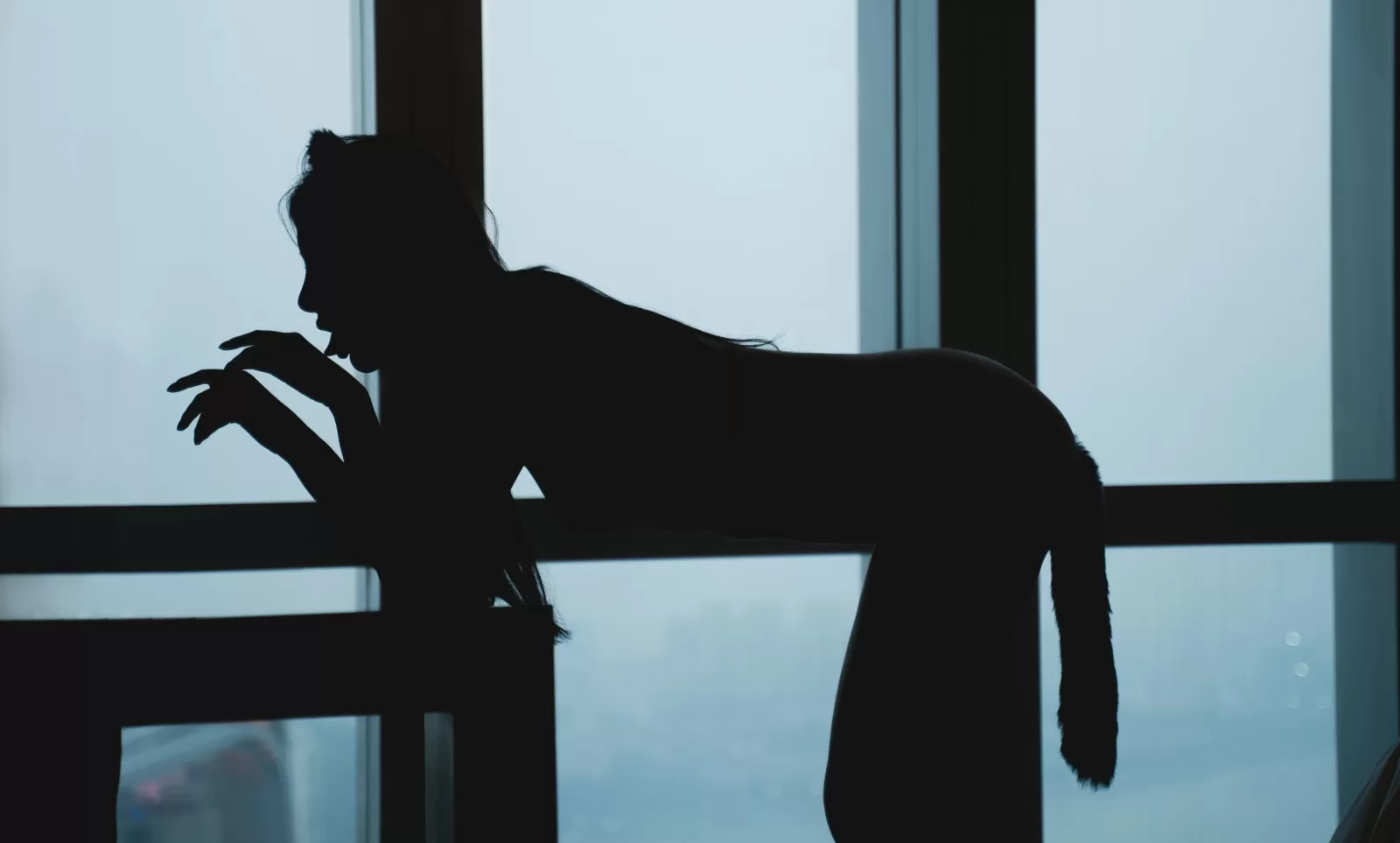 就是阿朱啊 – 猫 [85P]