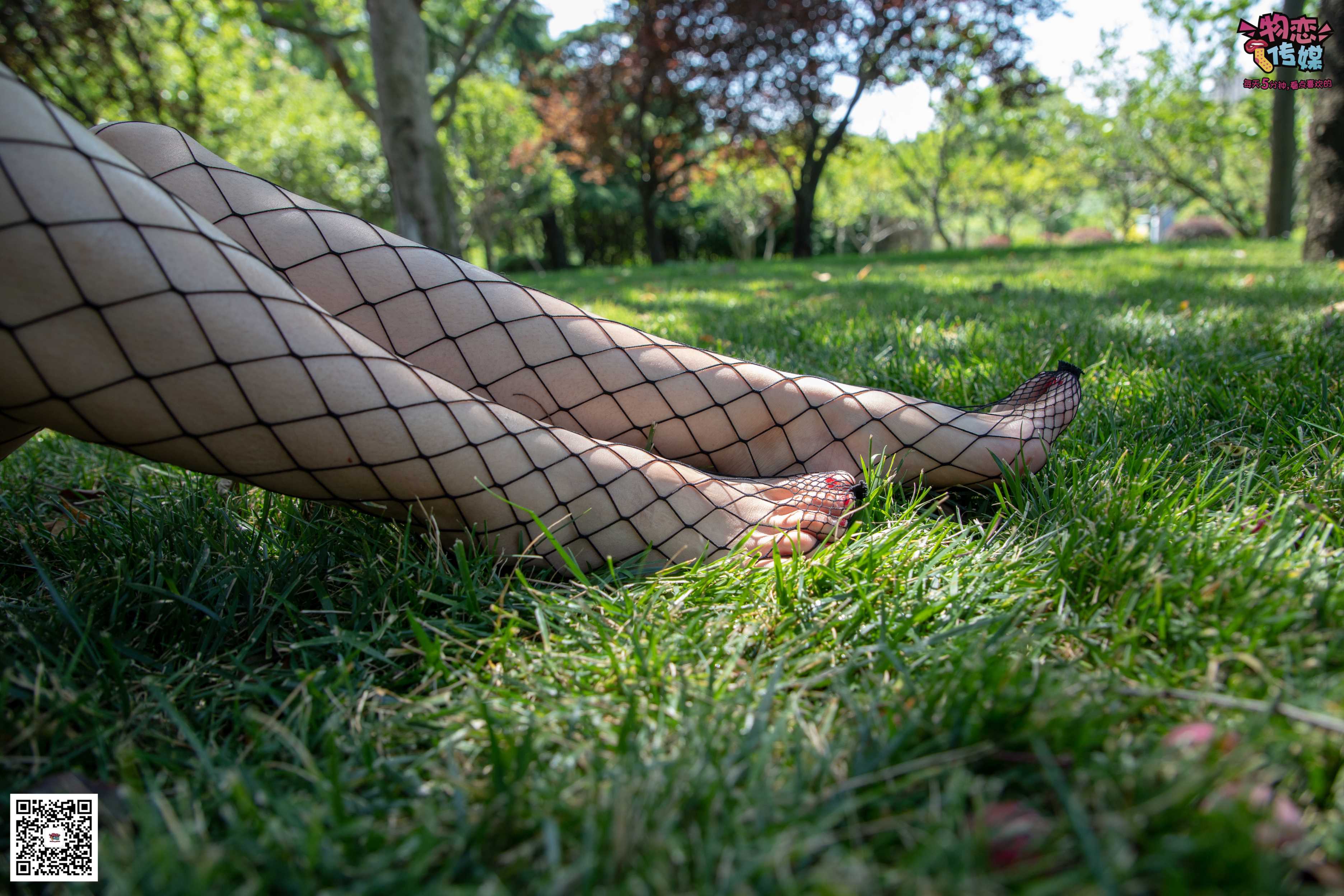 物恋传媒 No.026 白T恤搭配渔网袜,清纯与的激情碰撞  [181P+1V2.25GB]