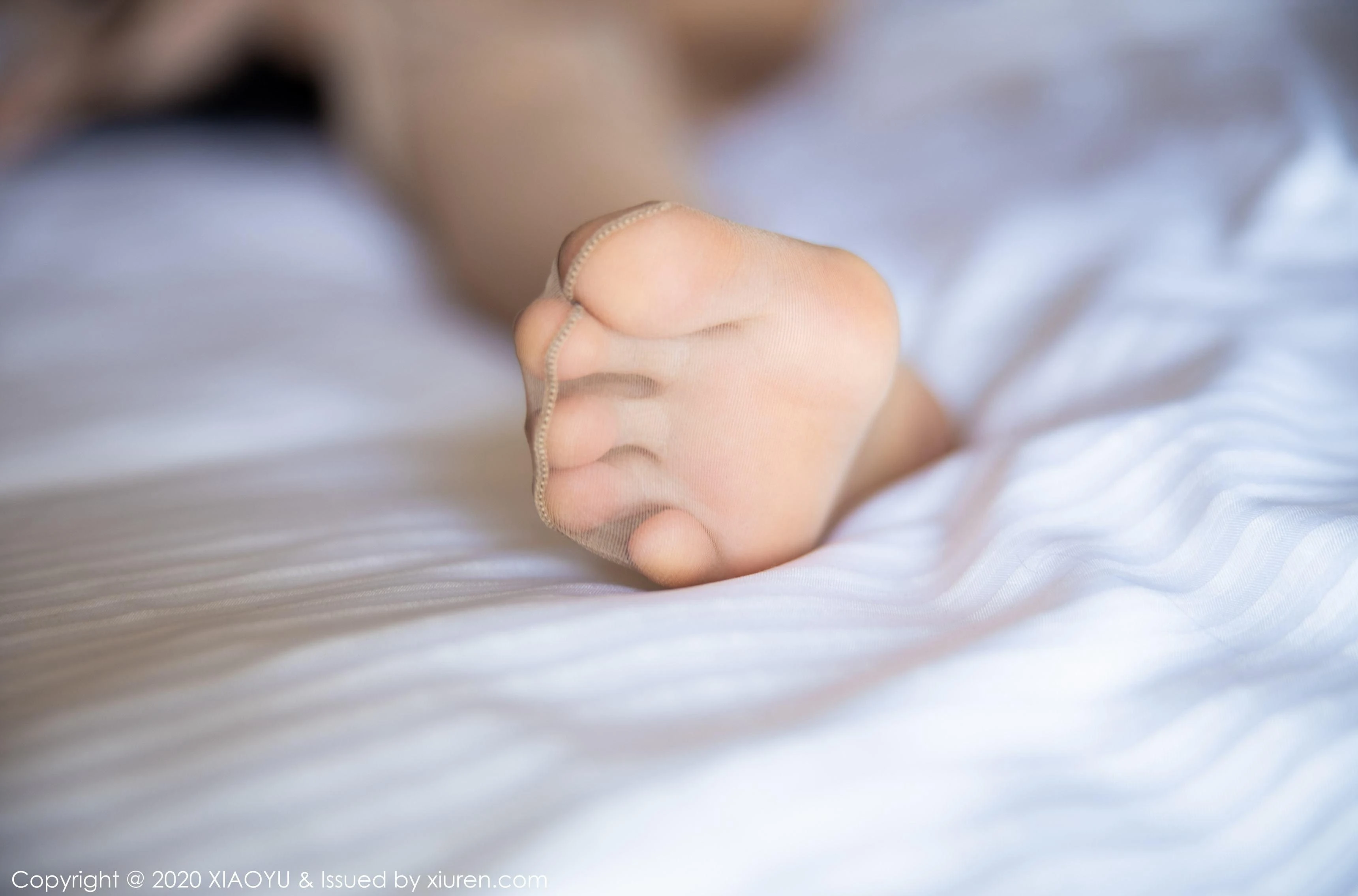 语画界 VOL.293 杨晨晨sugar