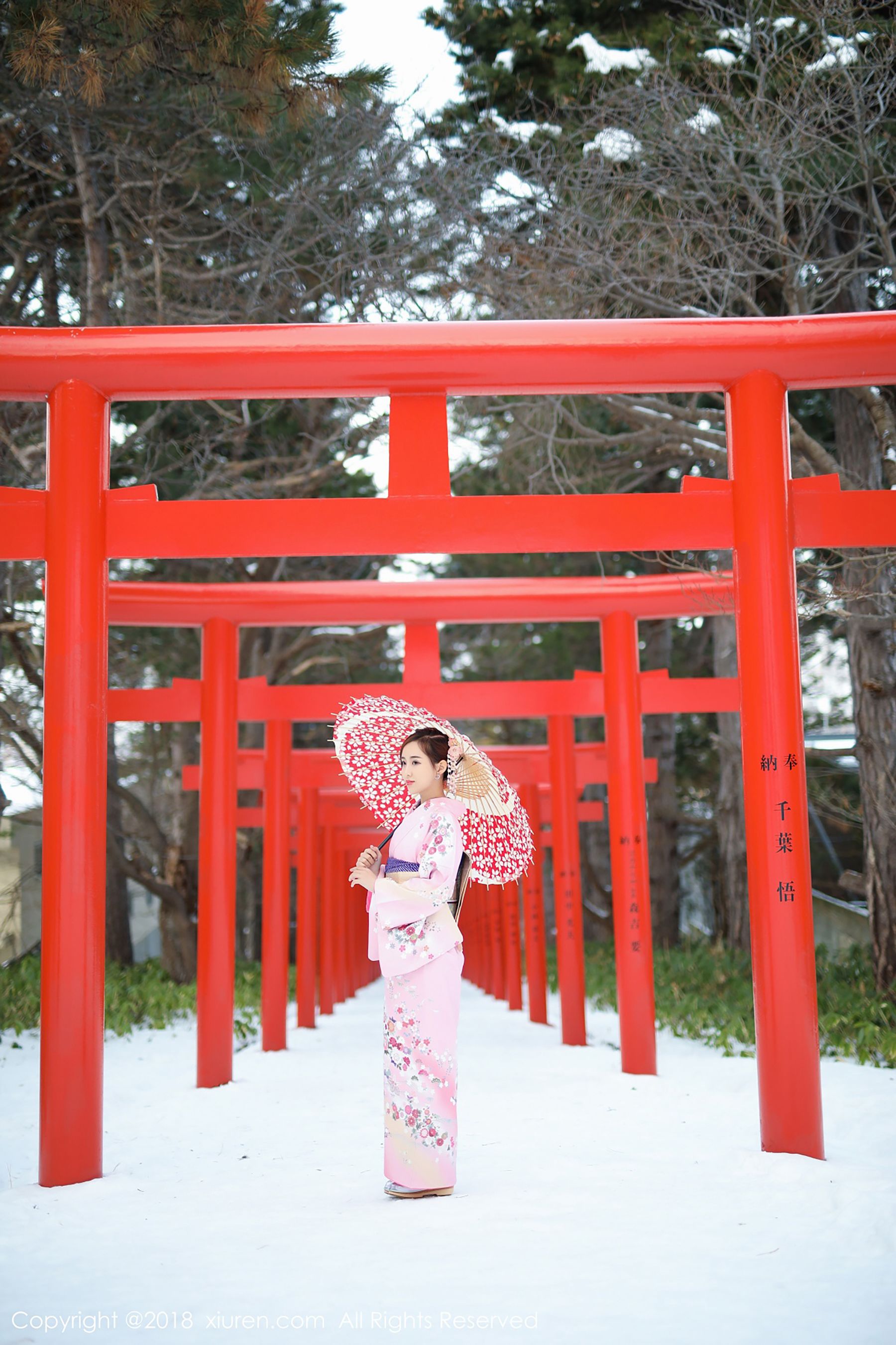 XiuRen 秀人网 No.1228 猫宝