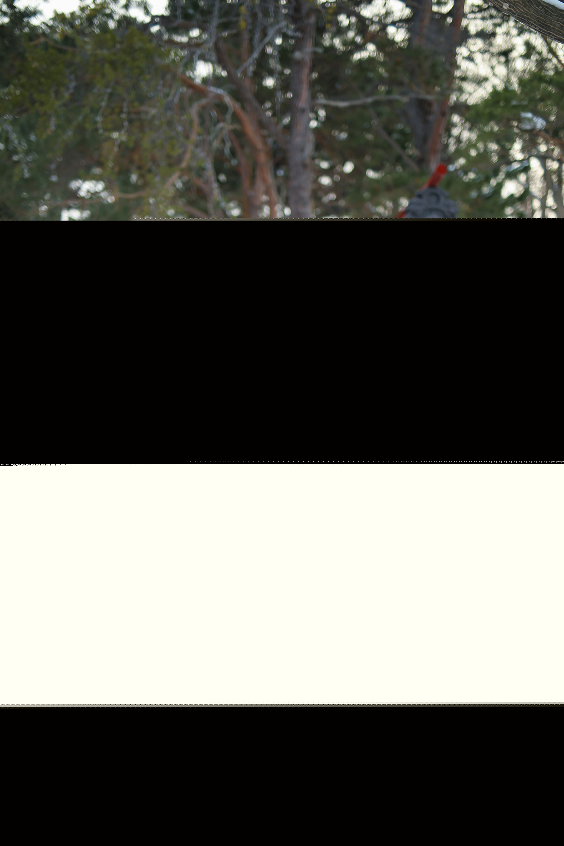 XiuRen 秀人网 No.1228 猫宝