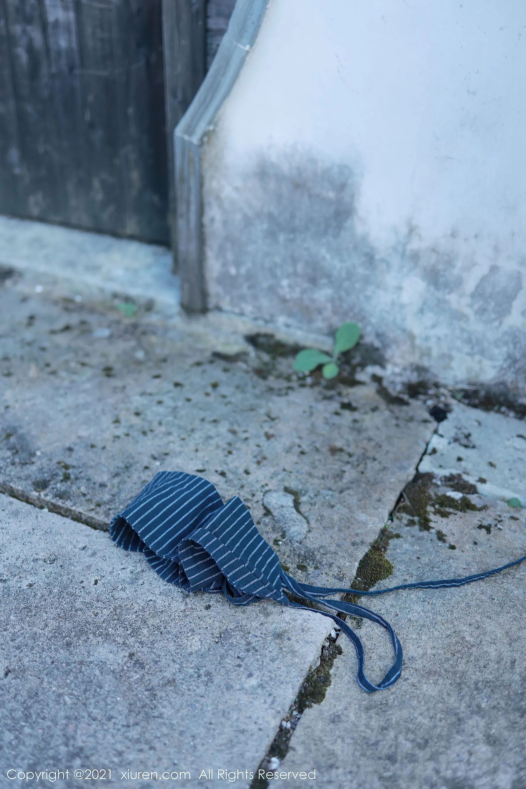 秀人 No.4032 李雅柔182CM