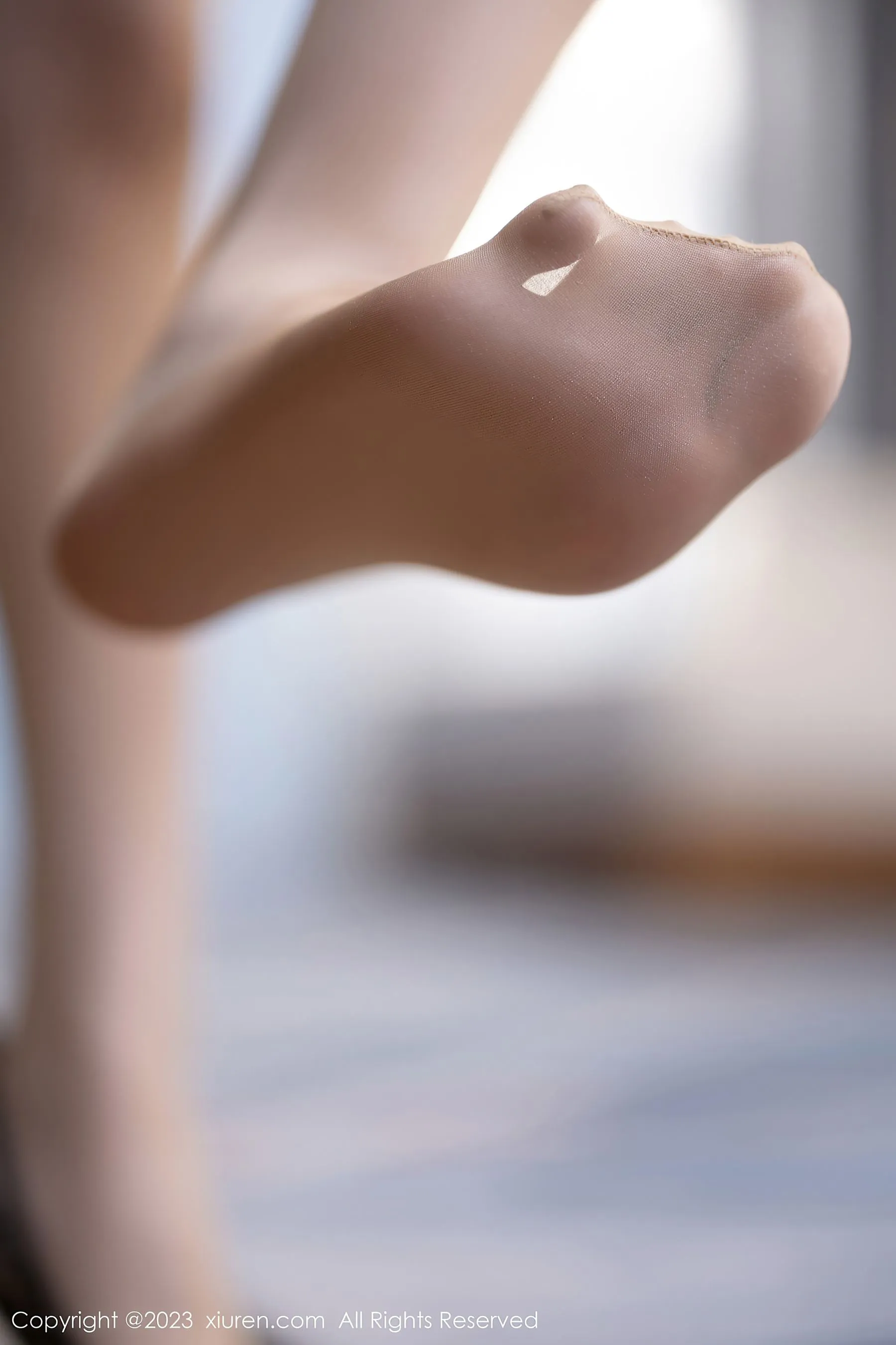 秀人网 No.6600 林星阑 清纯美腿