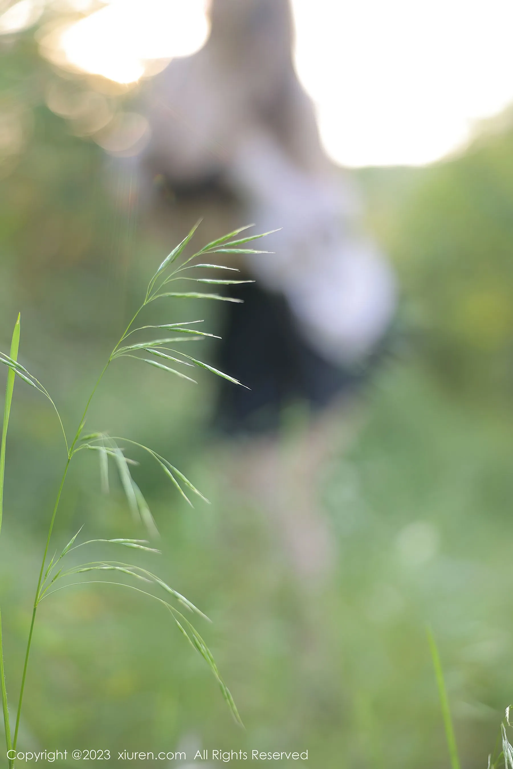 秀人网 No.6721 江真真