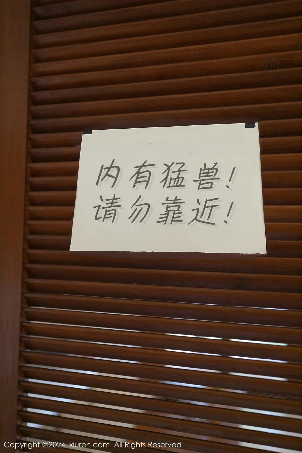 XiuRen 秀人 No.8029 幼幼 [80P]