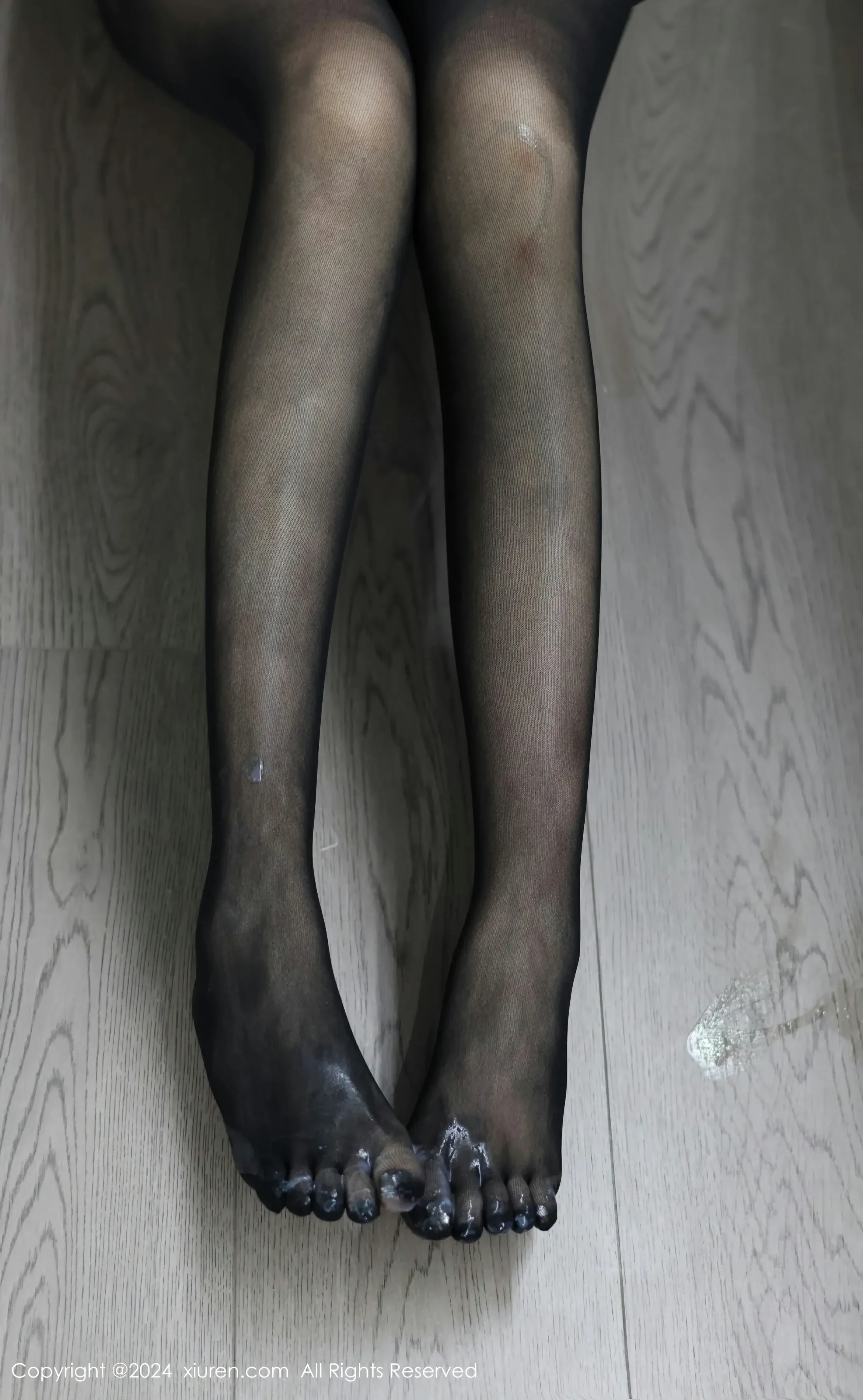 XiuRen 秀人 No.8432 小薯条nienie [84P]