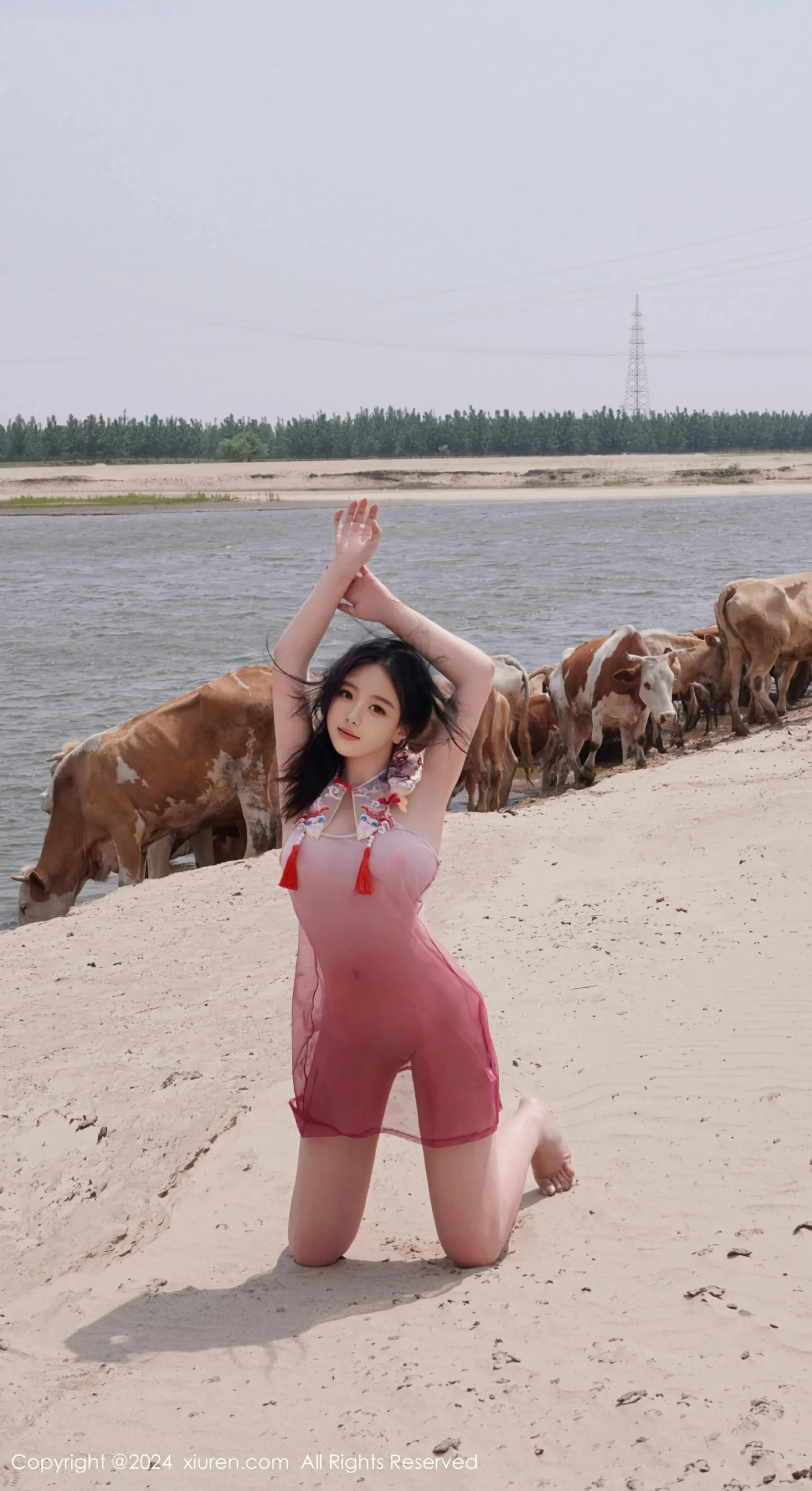 XiuRen 秀人 No.8777 小薯条nienie [73P]