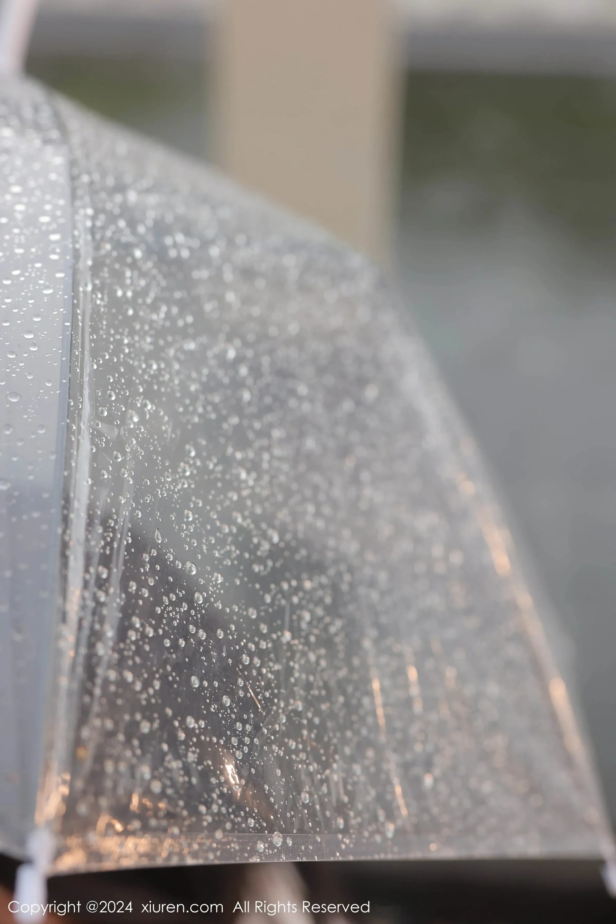 XiuRen 秀人 No.8885 桃妖夭 [92P]