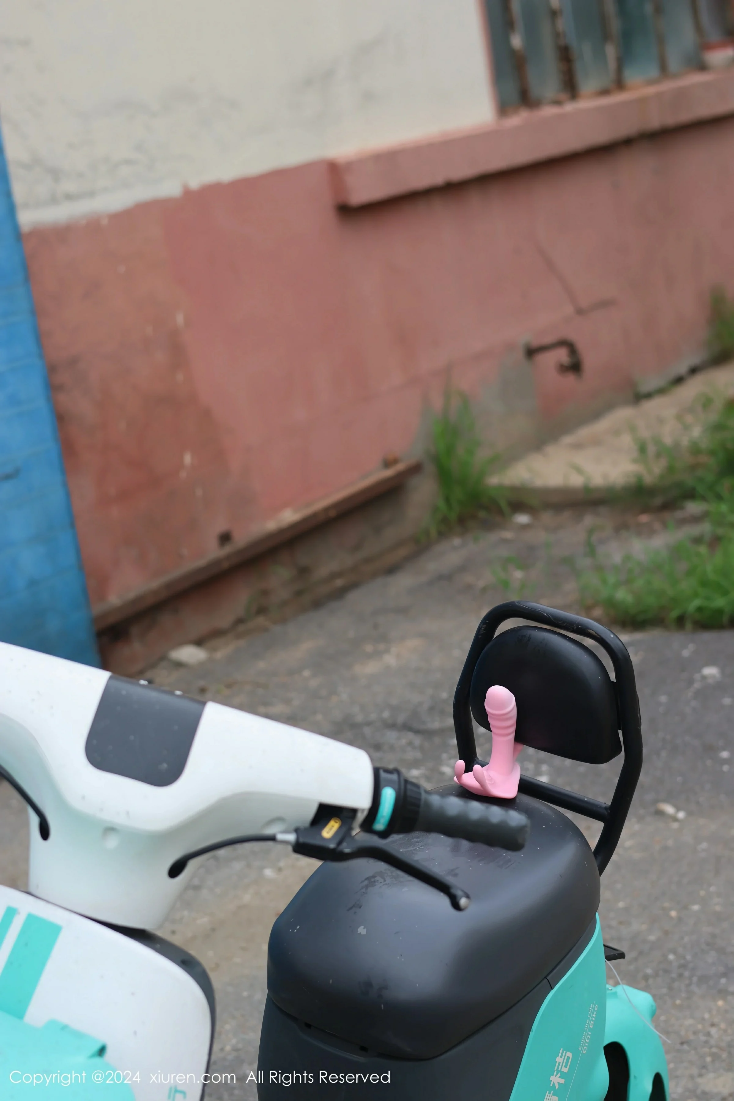 XiuRen 秀人 No.9024 小薯条nienie [89P]