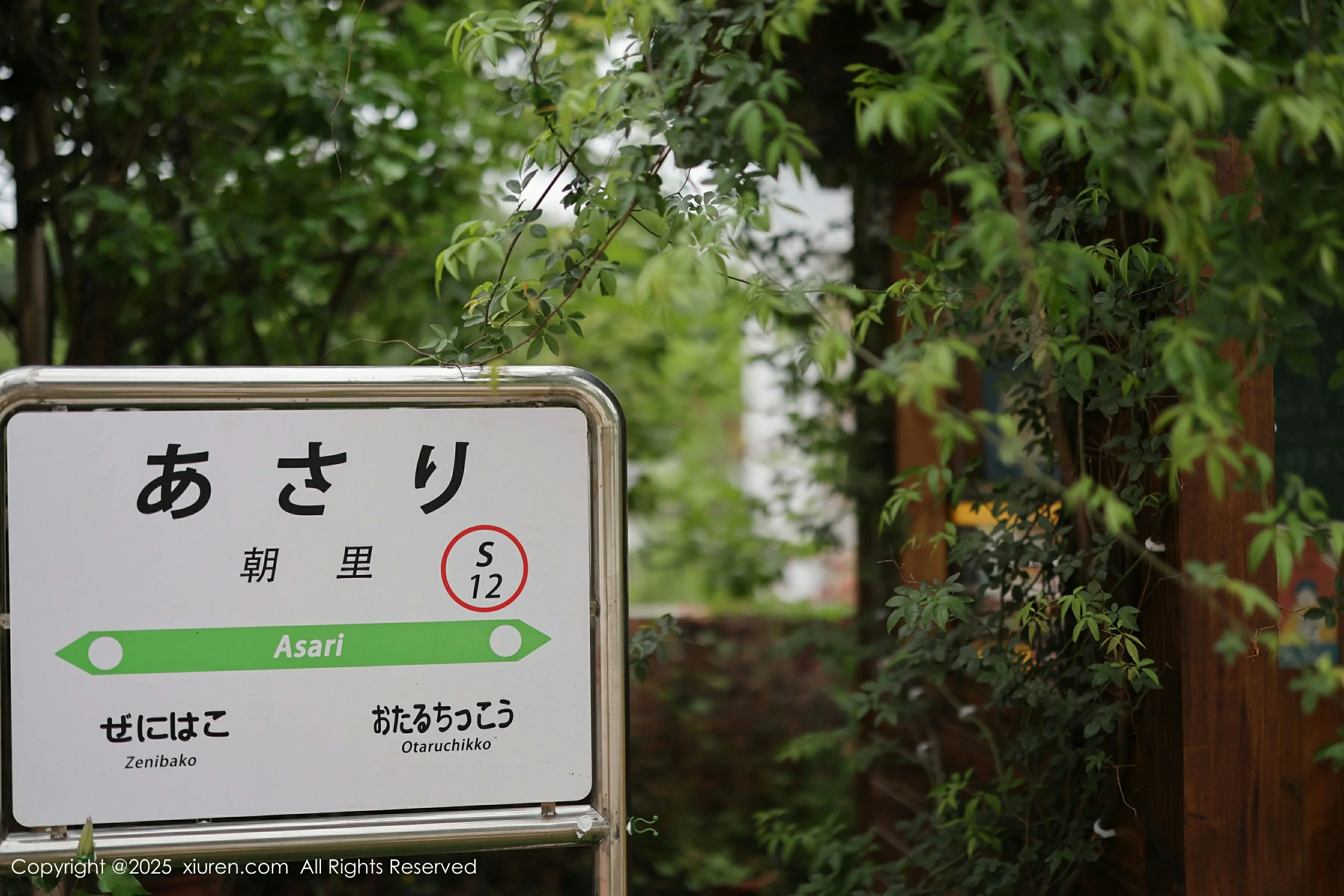 XiuRen 秀人 No.10215 茂木希子 [82P]