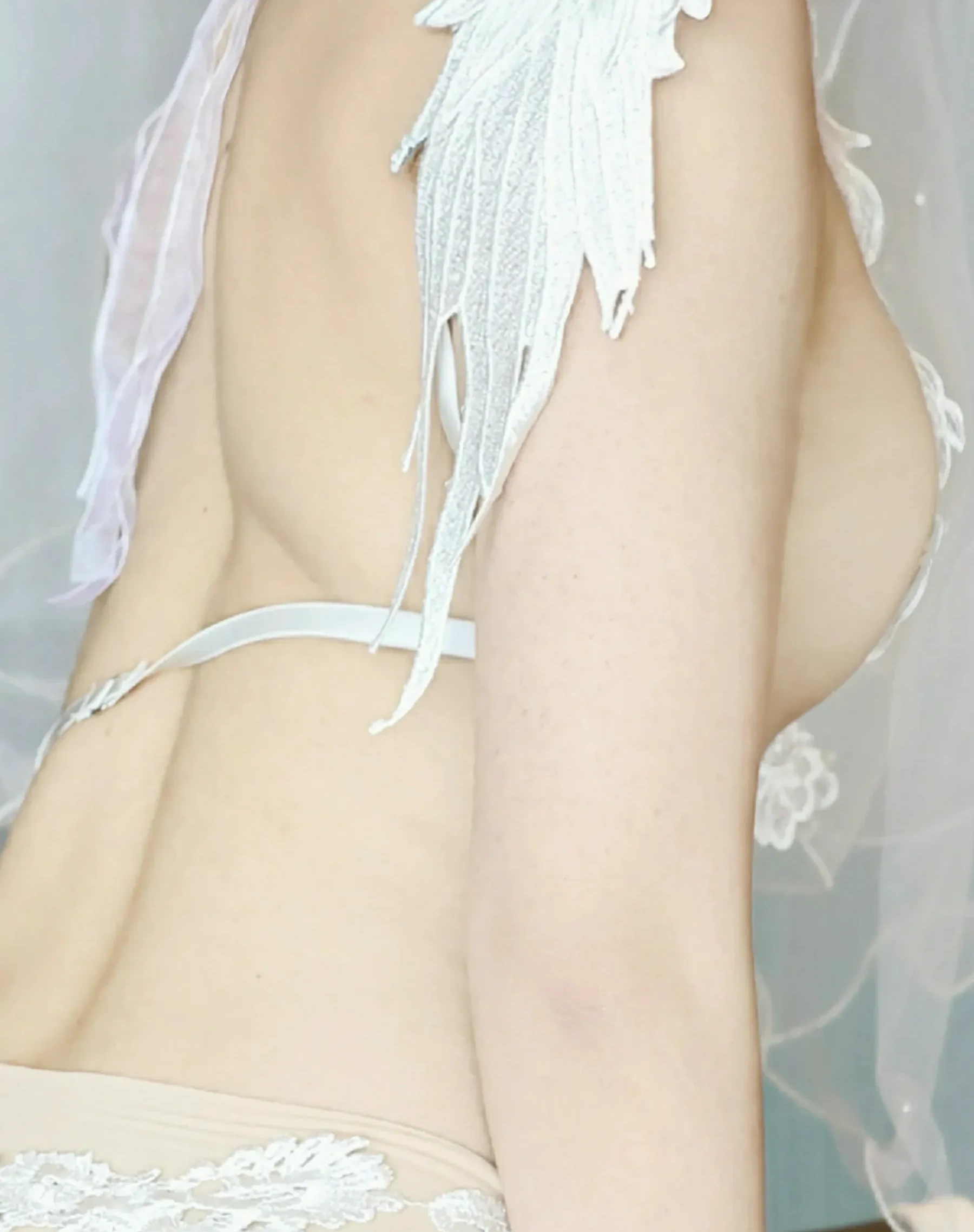 秀人网 No.10559 糯梨子 [70P]