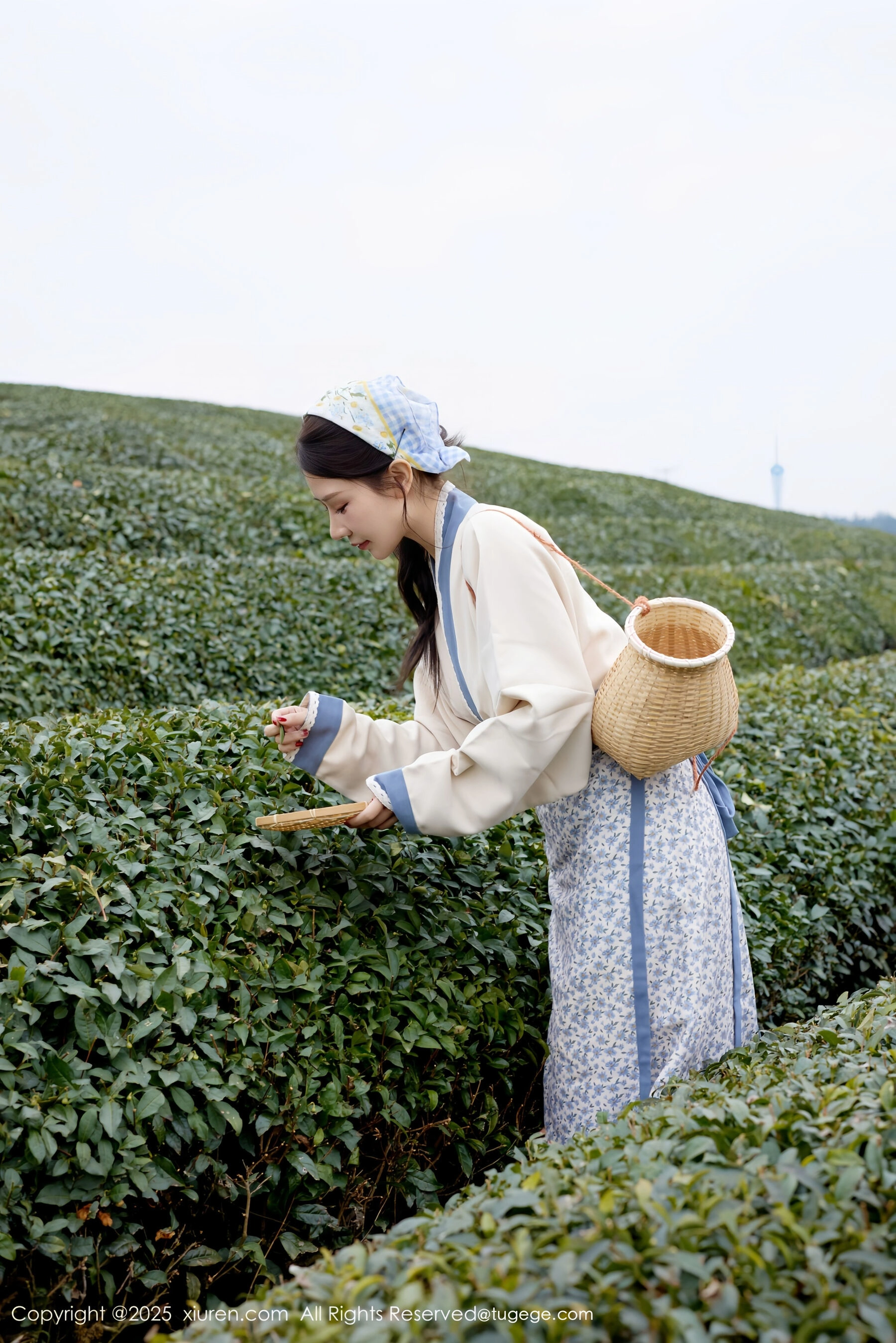 秀人网 尹甜甜 Vol.11098 [61P]