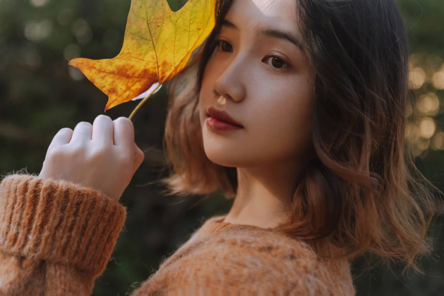 Taltooy – 《秋意浓》[30P]