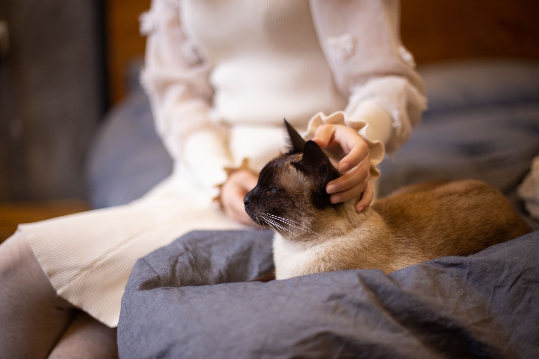 毛毛 – 《爱的寄托》[29P]