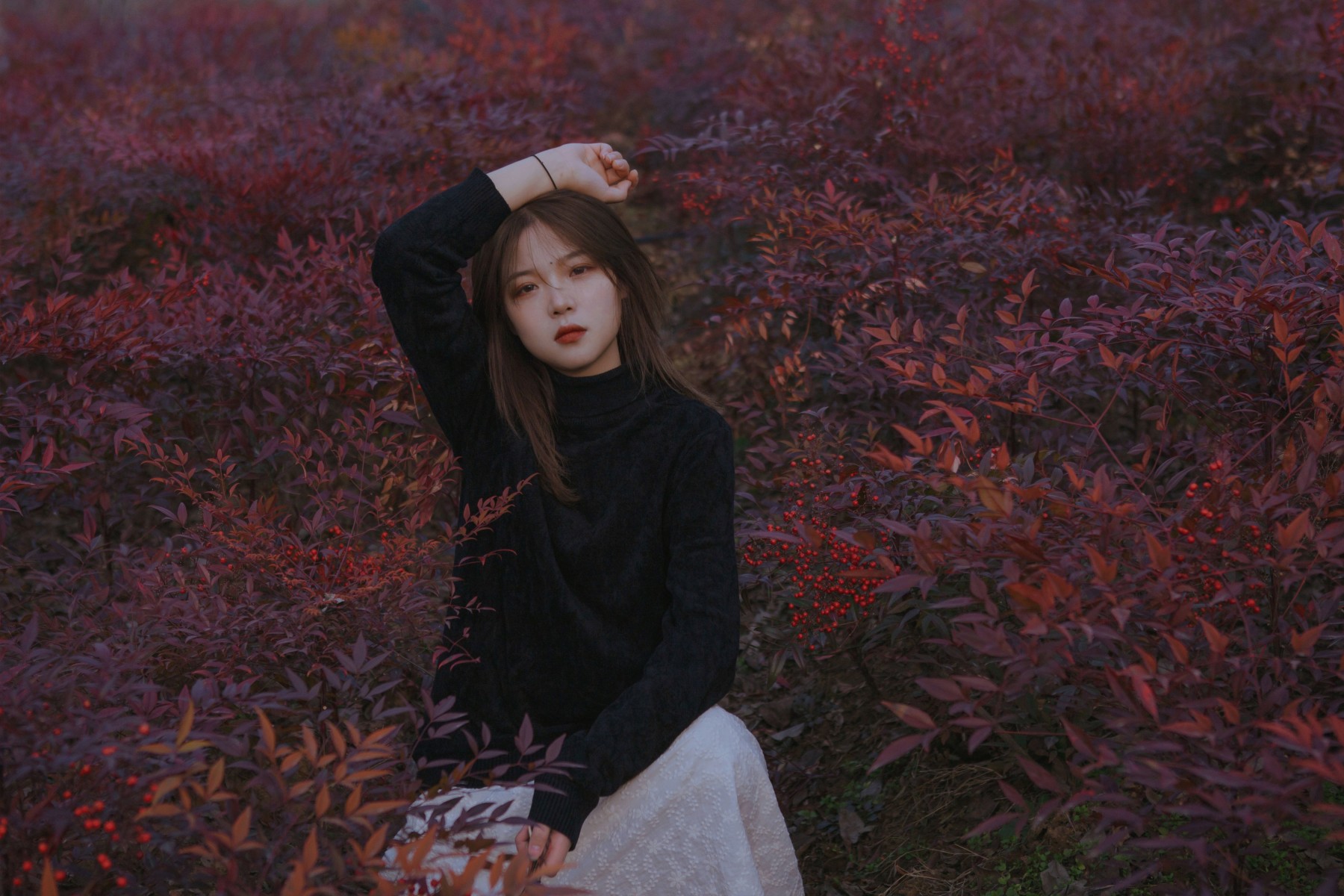 风车车呀哈 – 《迷雾》[33P]