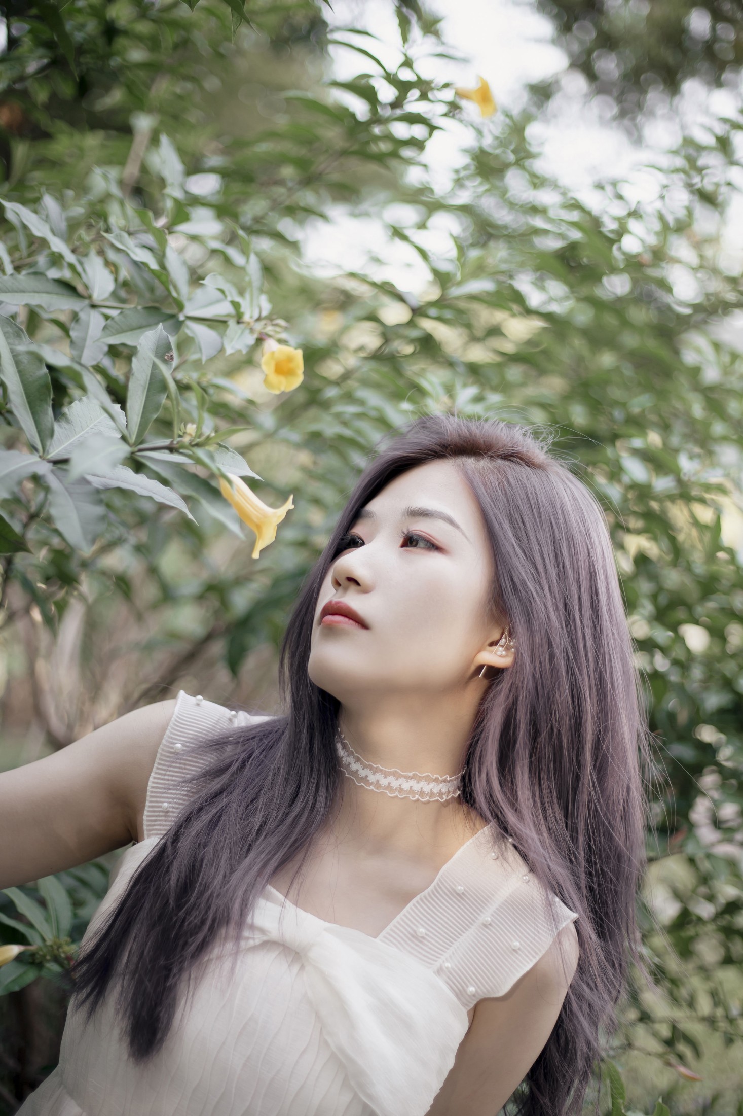 无 – 《清风淡花香》[37P]