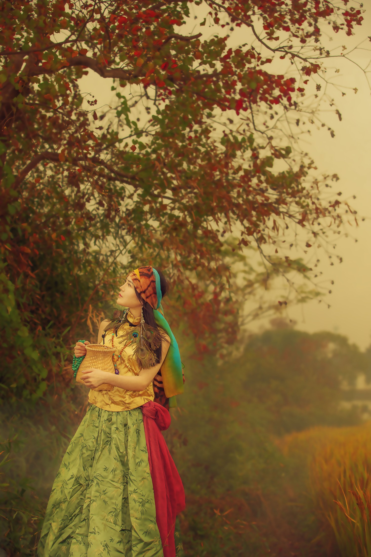 棵棵树 – 《稻花香》[40P]