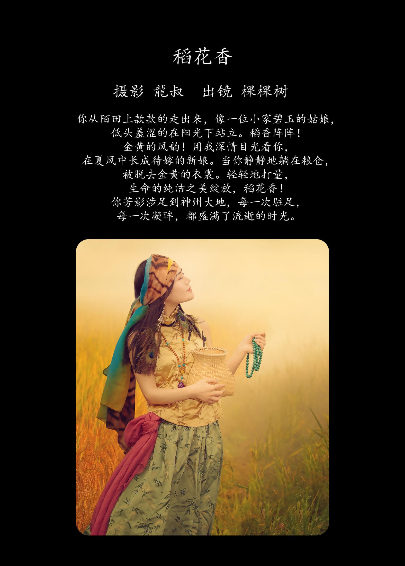 棵棵树 – 《稻花香》[40P]