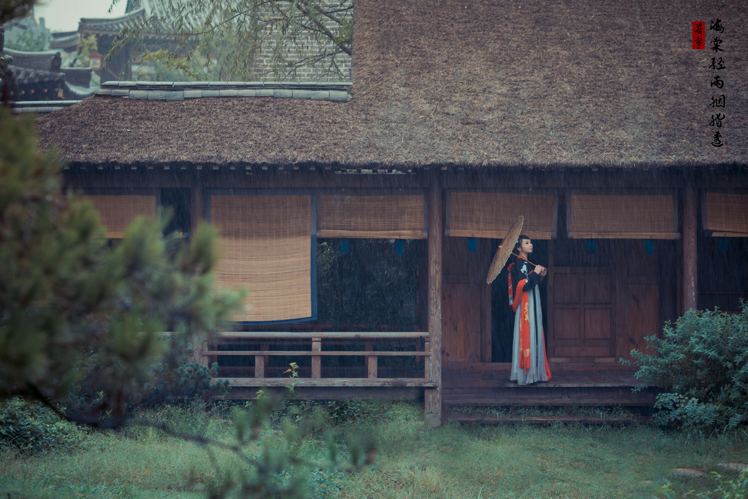 v唱小游v – 《海棠经雨胭脂透》[39P] 插图4