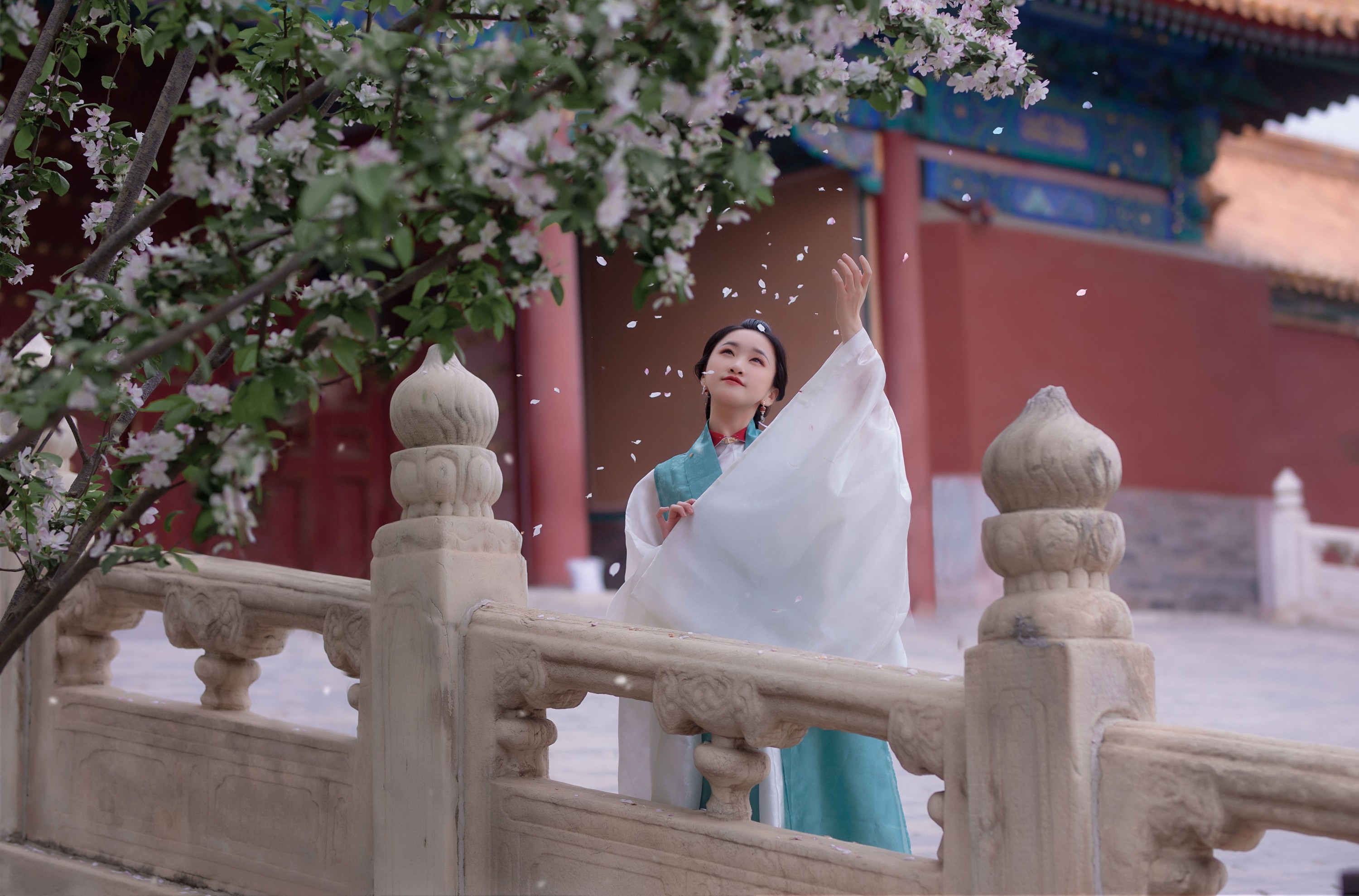 晴空空呐 – 《花想容》[23P]