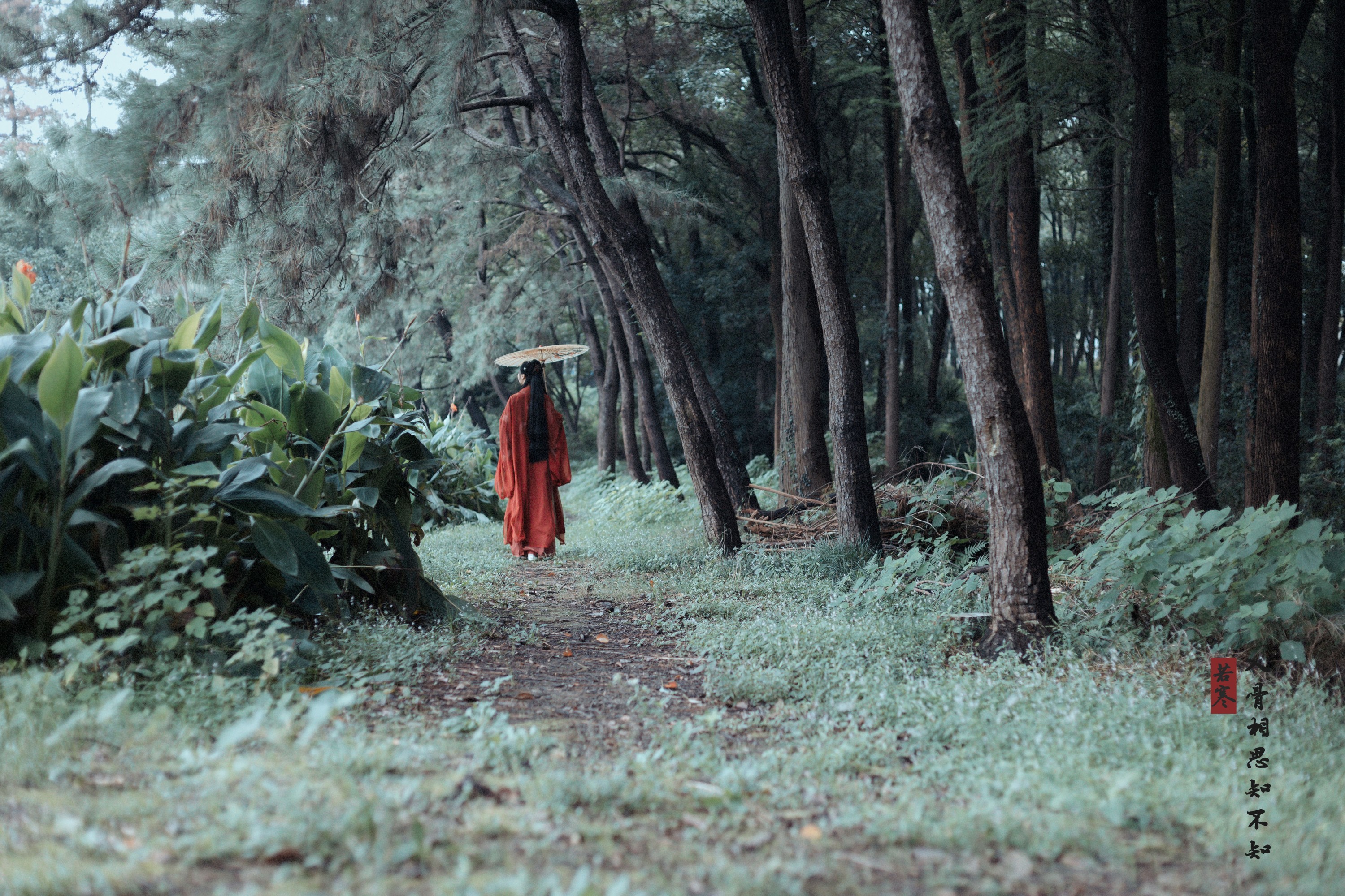 v唱小游v – 《入骨相思》[29P] 插图5