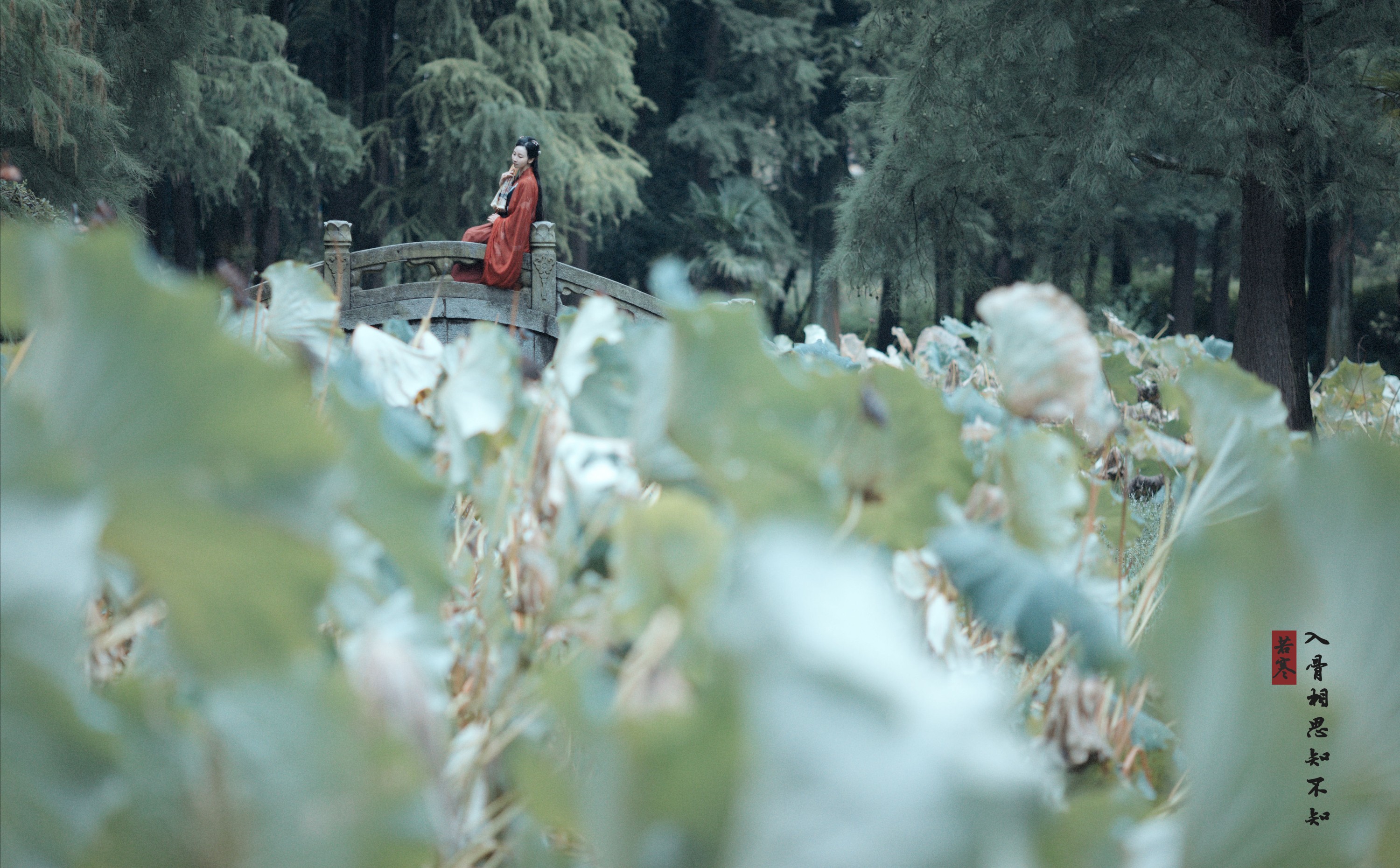 v唱小游v – 《入骨相思》[29P] 插图3