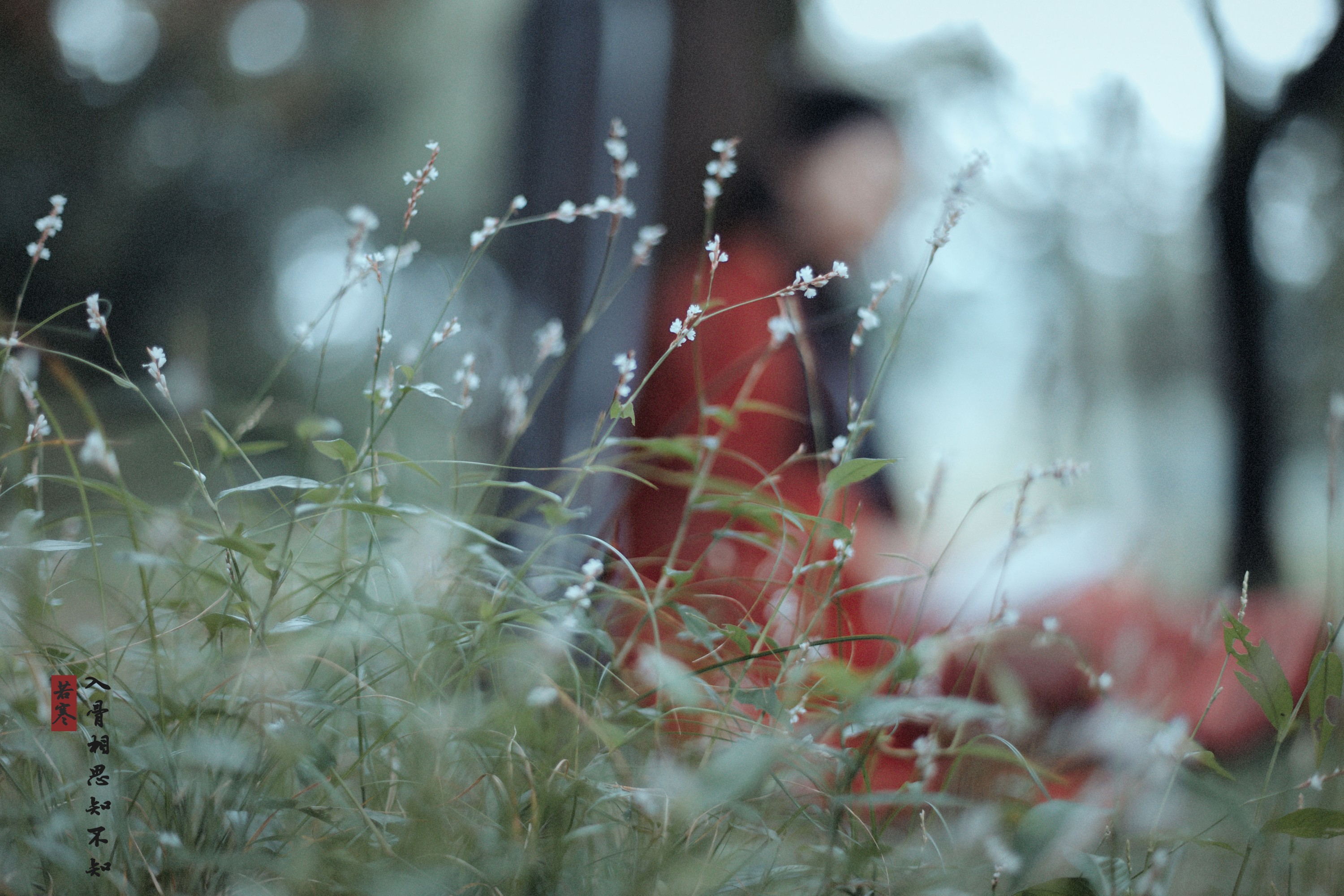 v唱小游v – 《入骨相思》[29P] 插图4