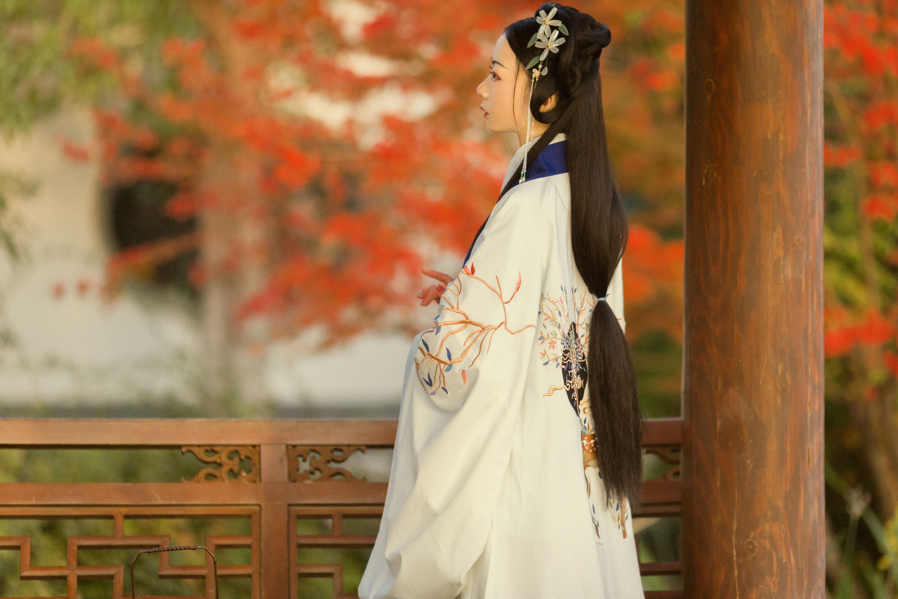 门门 – 《丹枫入秋》[28P]