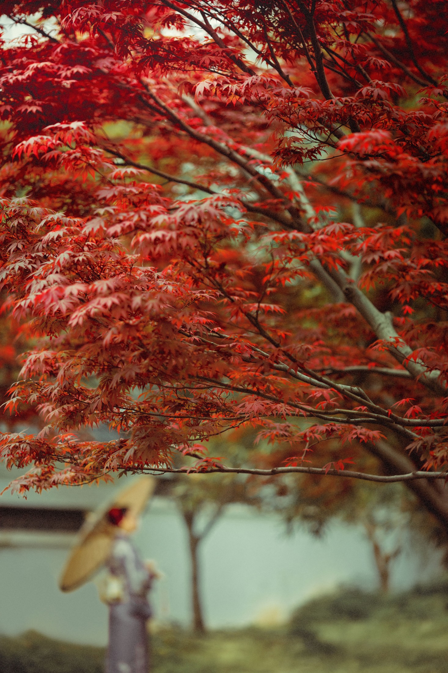 没烦恼 – 《红叶深处》[29P] 插图5