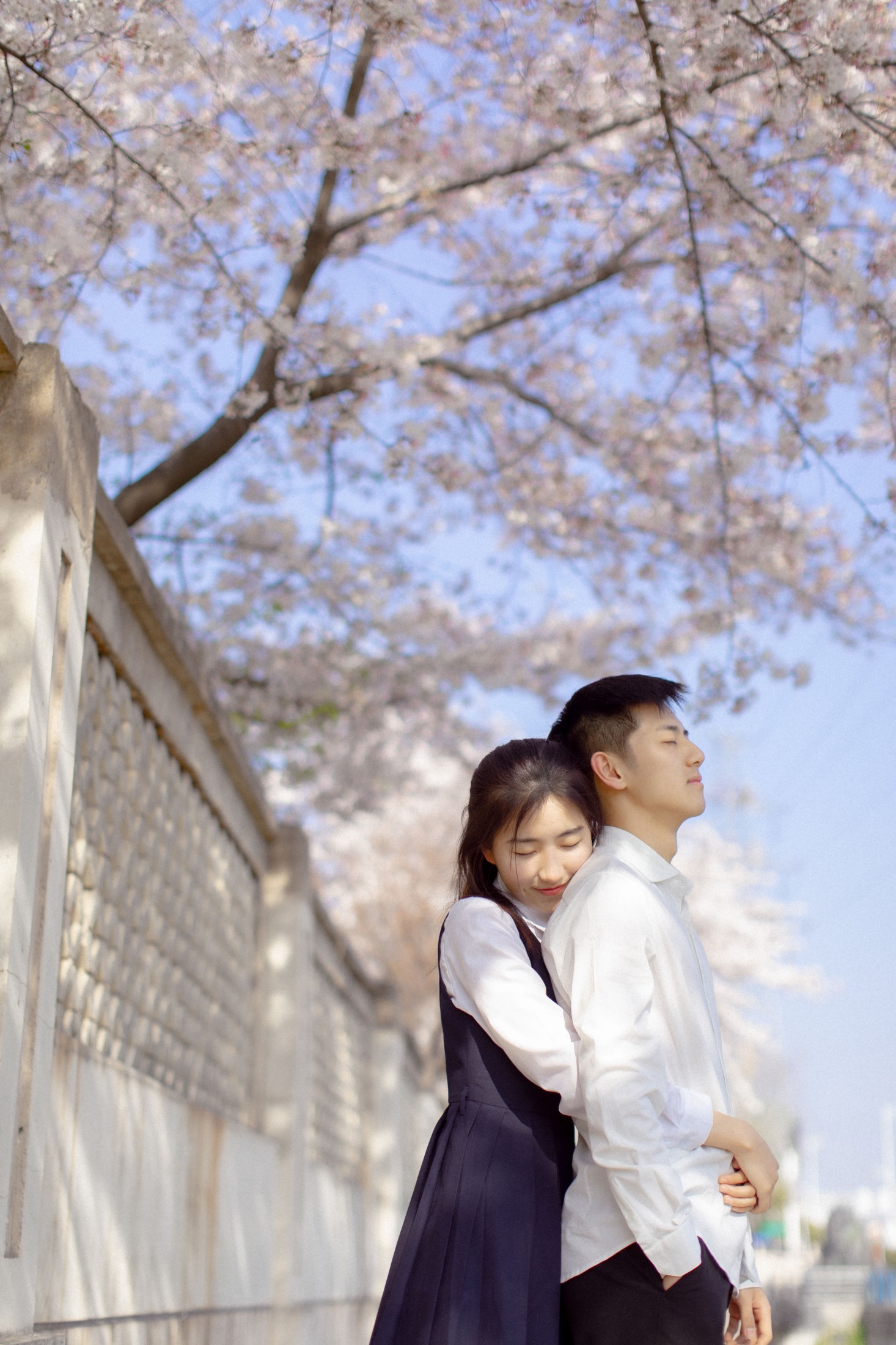 模特合集 – 《粉樱花语》[28P]