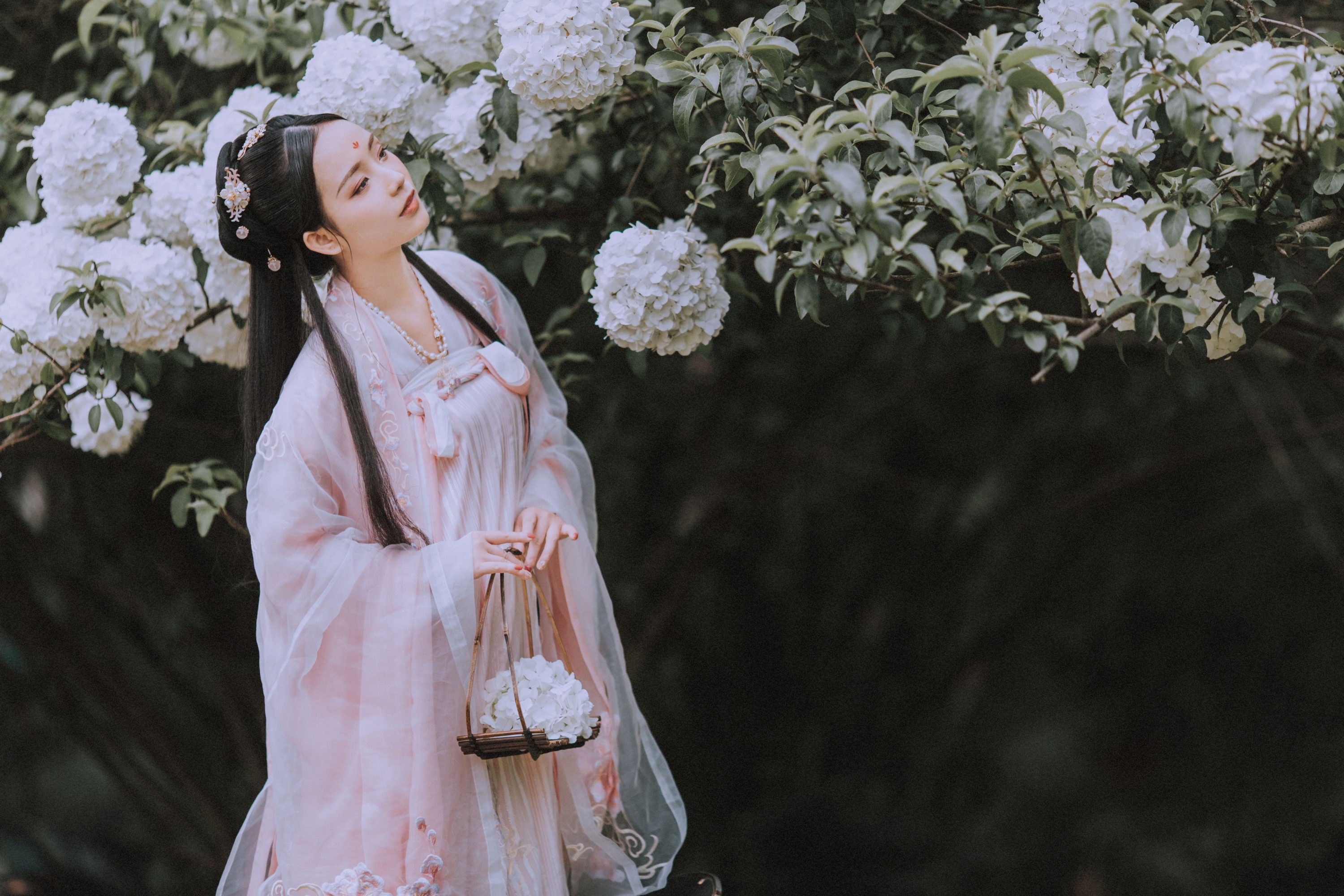 xxSilver – 《满袖春》[36P]