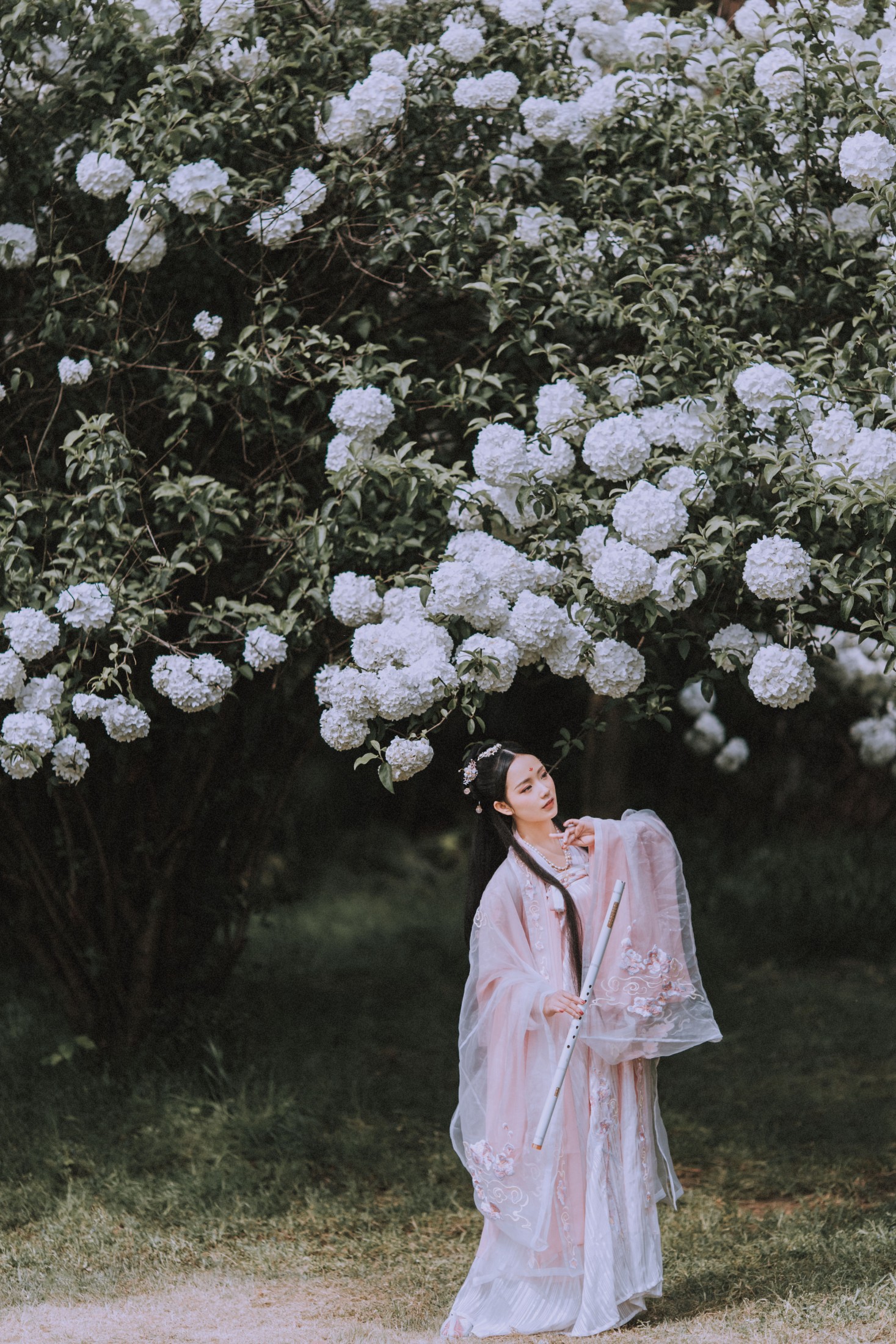 xxSilver – 《满袖春》[36P]