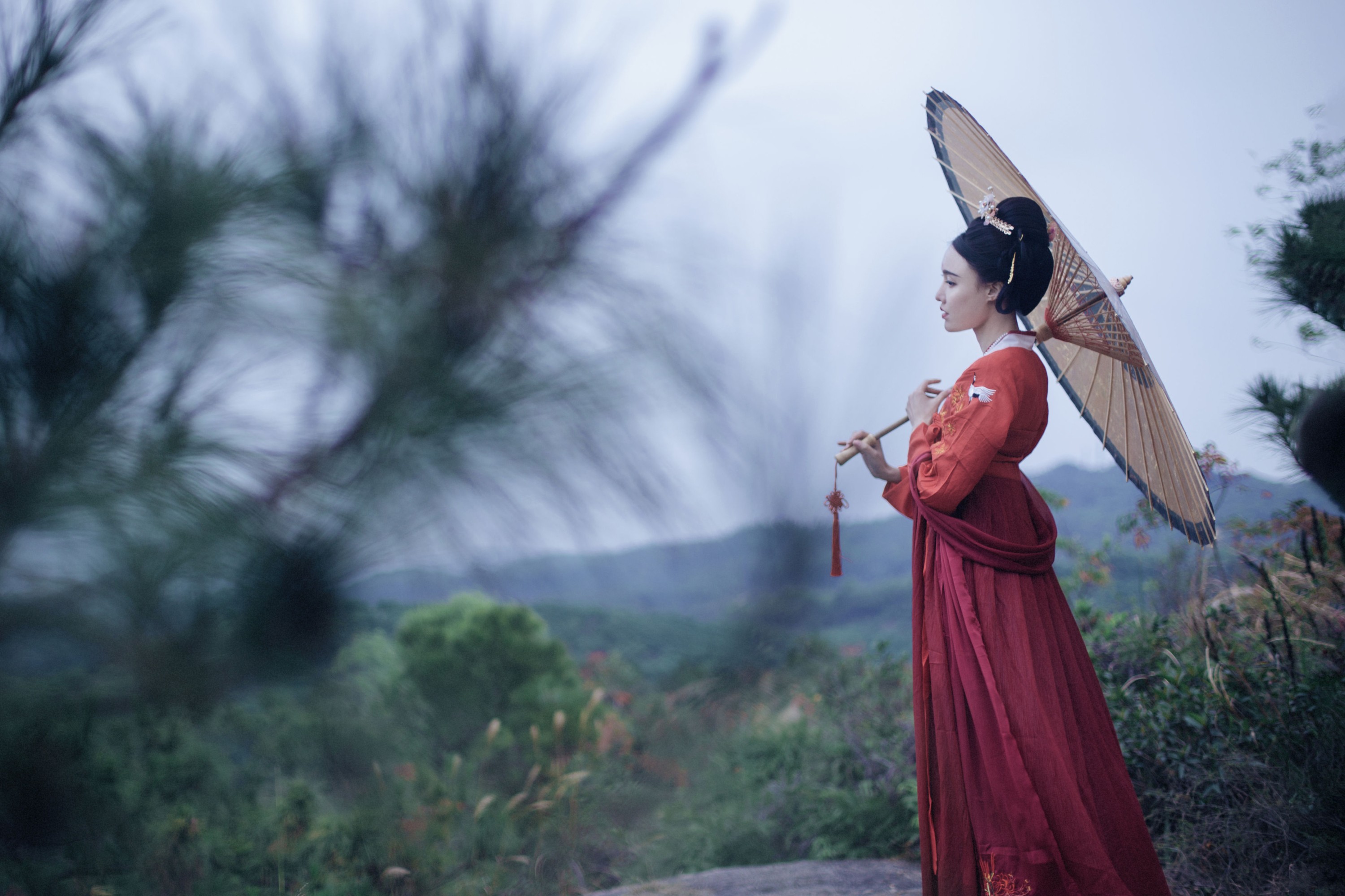 逆逆 – 《泠仙谣》[25P]