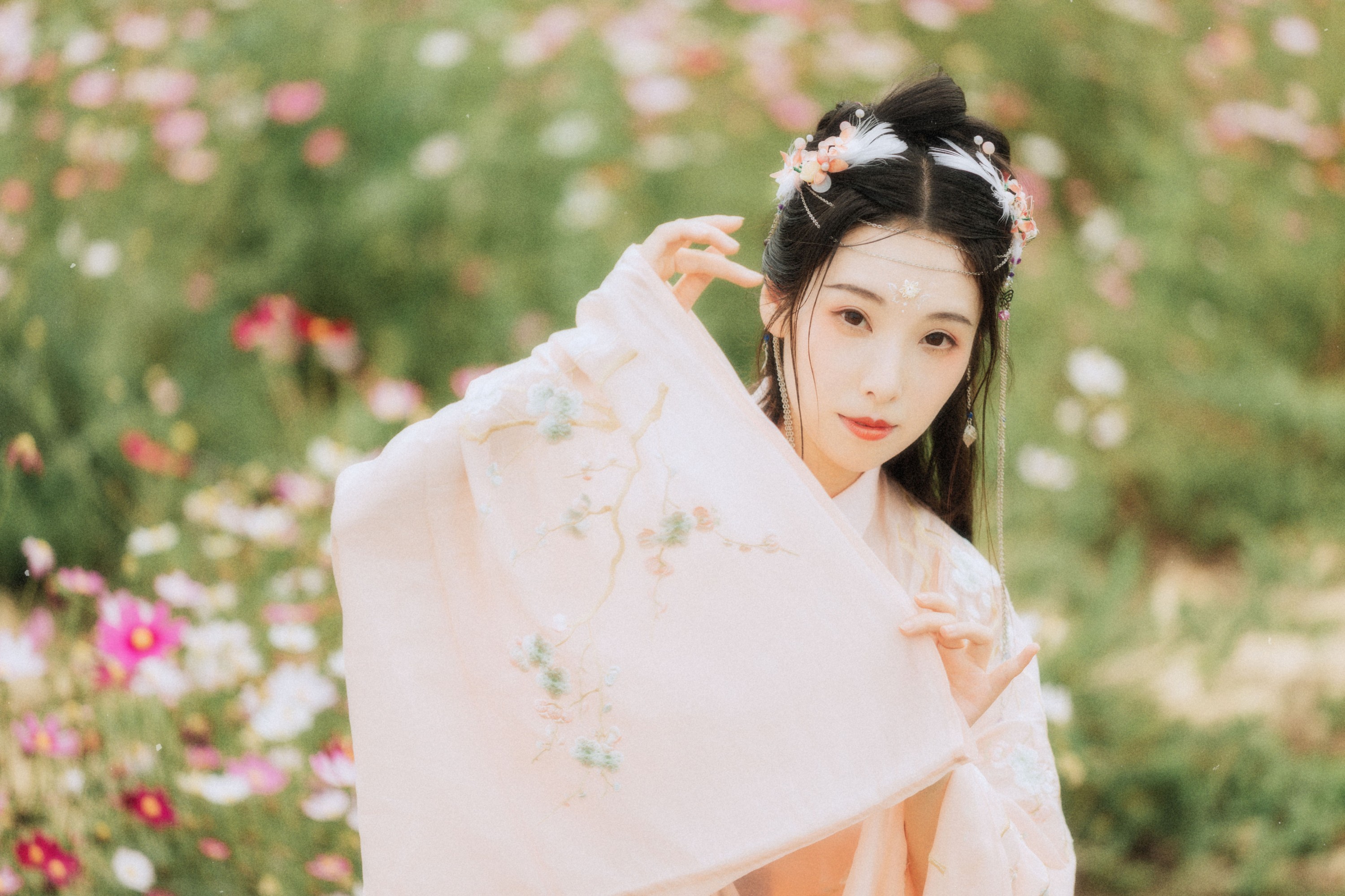 茶茶 – 《繁花孤影》[24P]