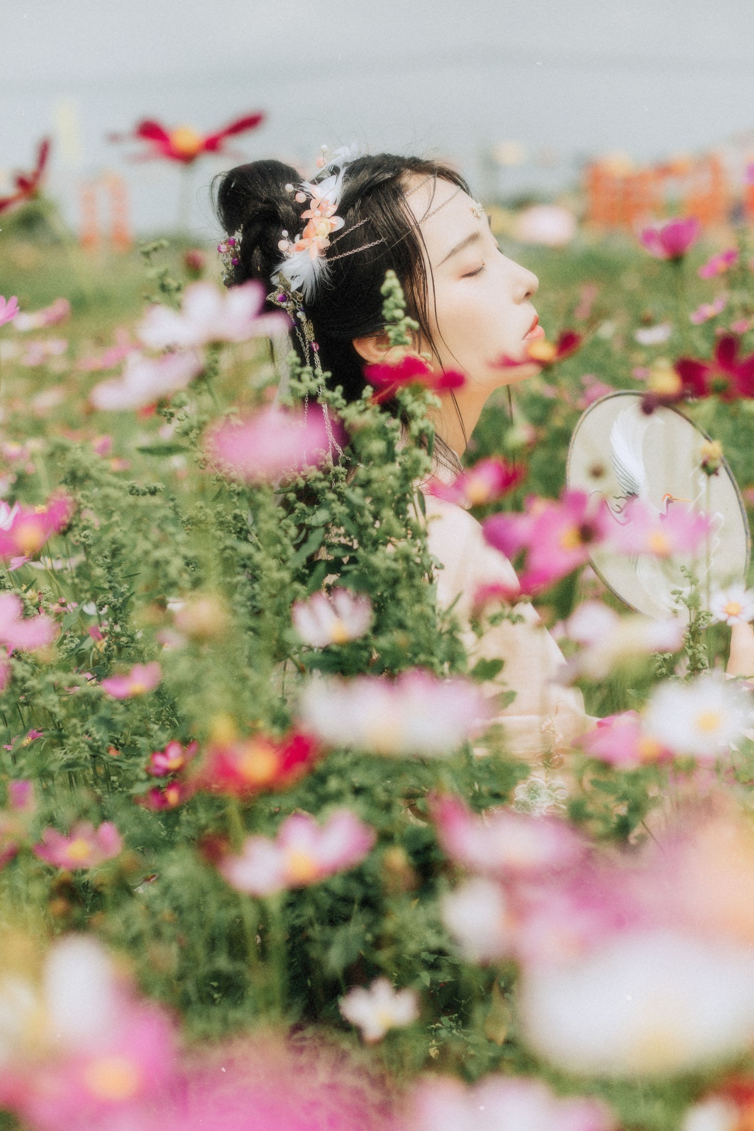 茶茶 – 《繁花孤影》[24P]