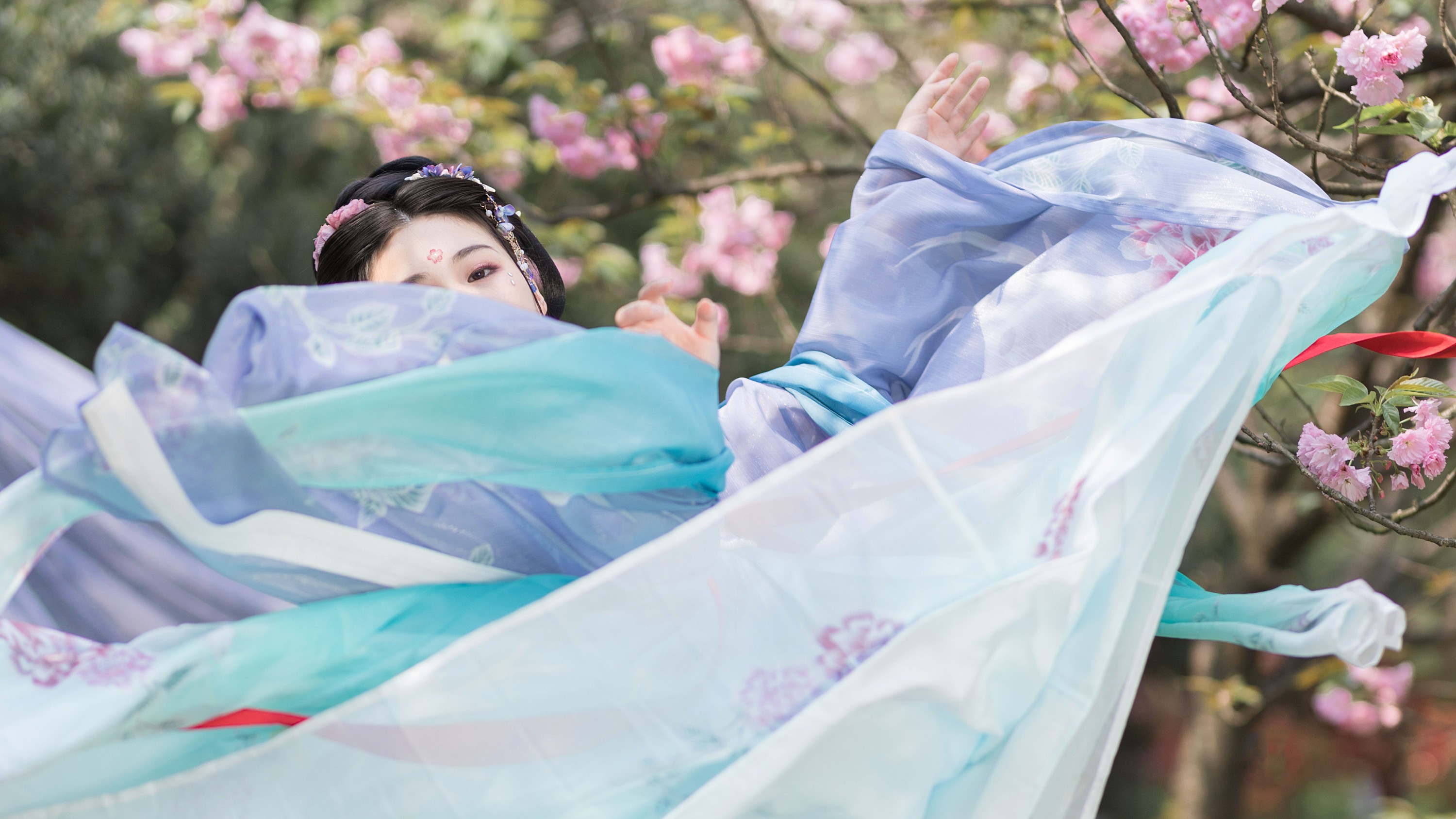 青卿 – 《美人如樱》[20P]