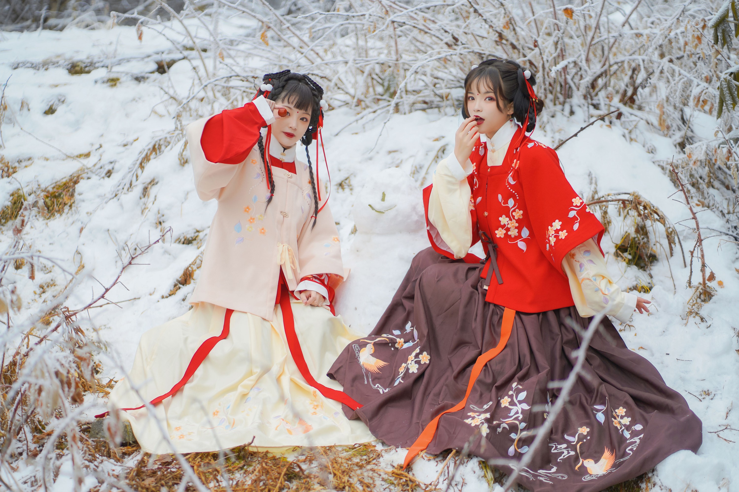 赵瑞洁EZ_ 眠小眠 – 《雪中少女》[21P]