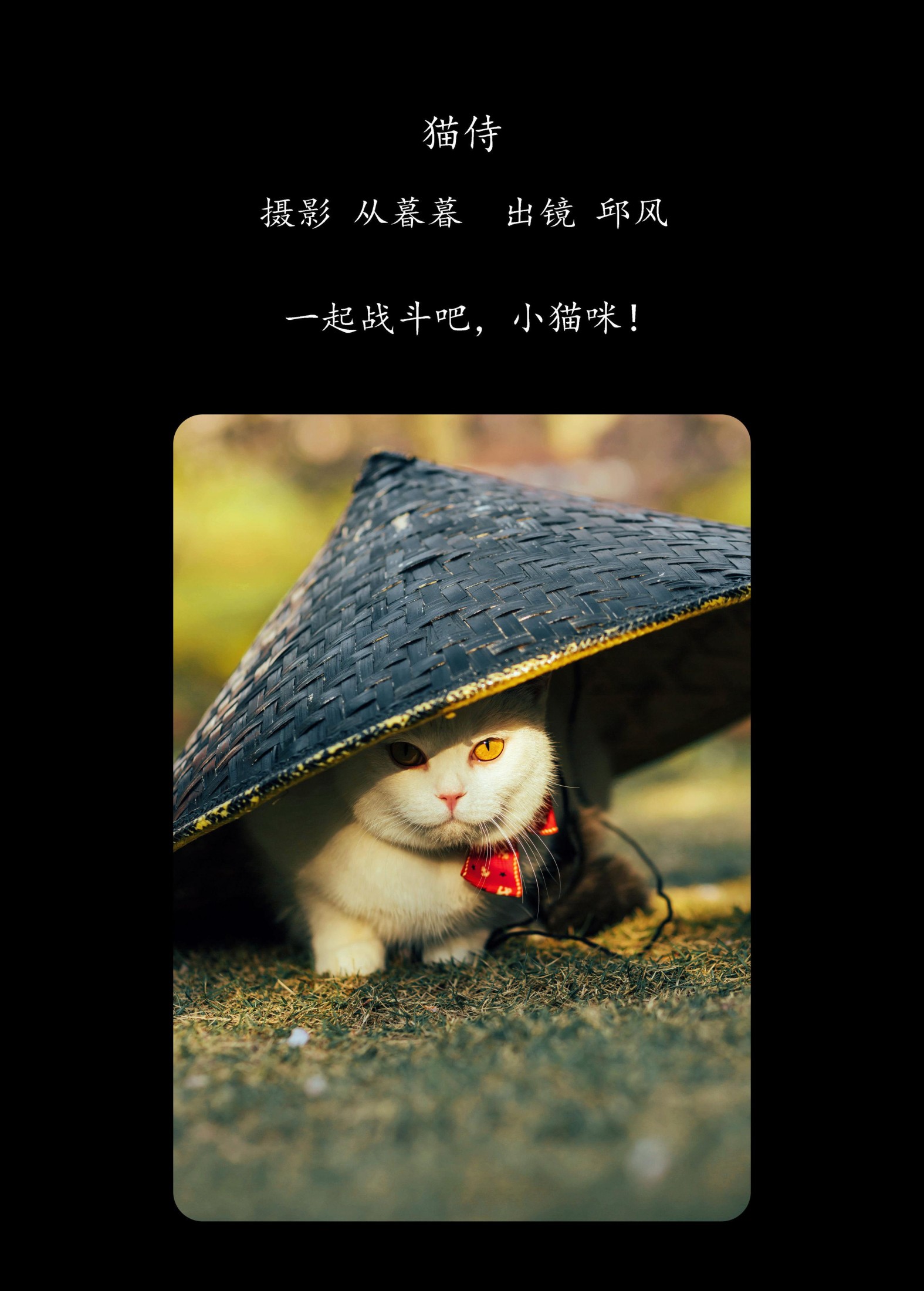 邱风 – 《猫侍》[31P]