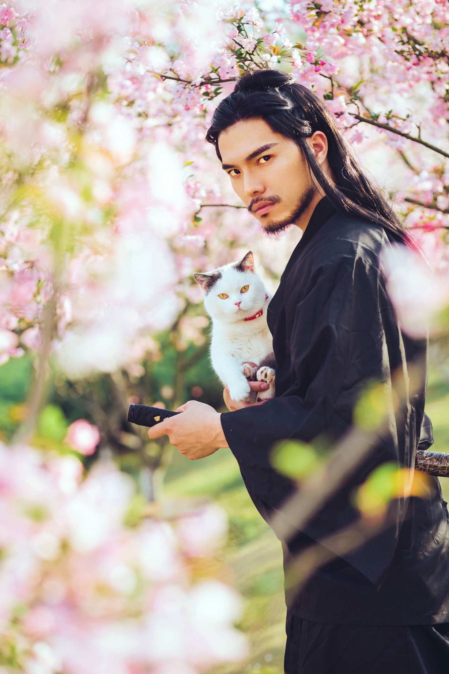 邱风 – 《猫侍》[31P]